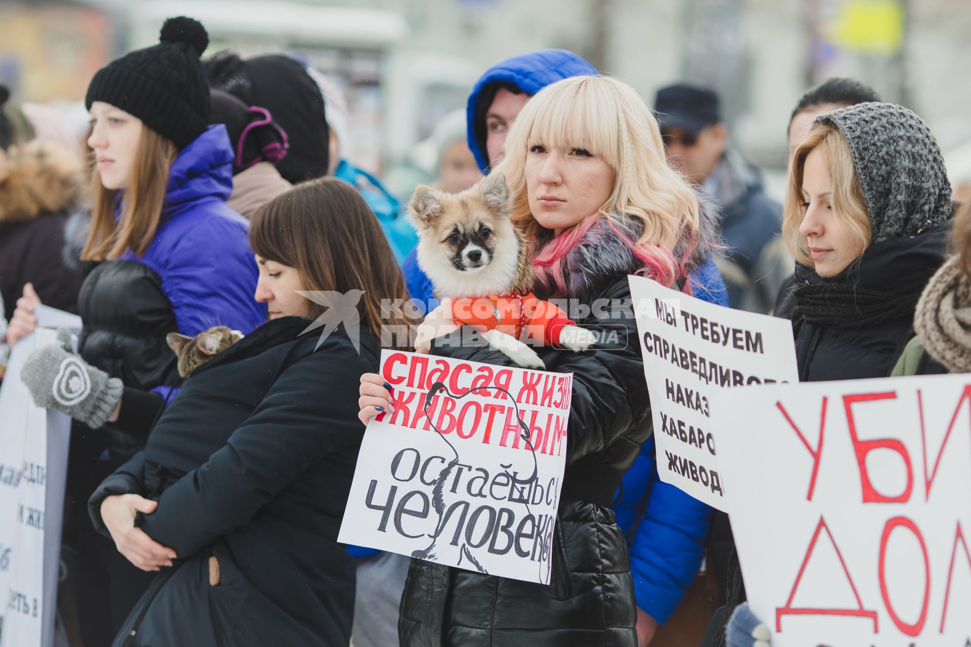 Челябинск.   Участники  Всероссийской акции против живодеров.