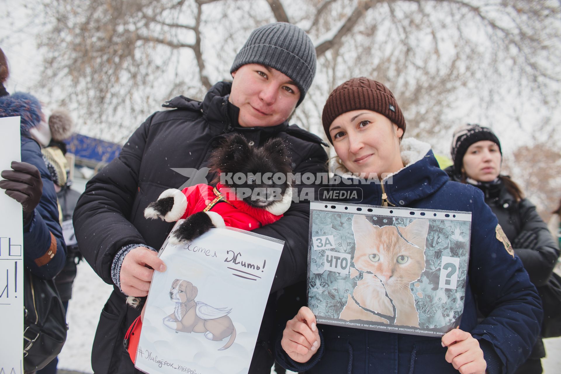 Челябинск.   Участники  Всероссийской акции против живодеров.