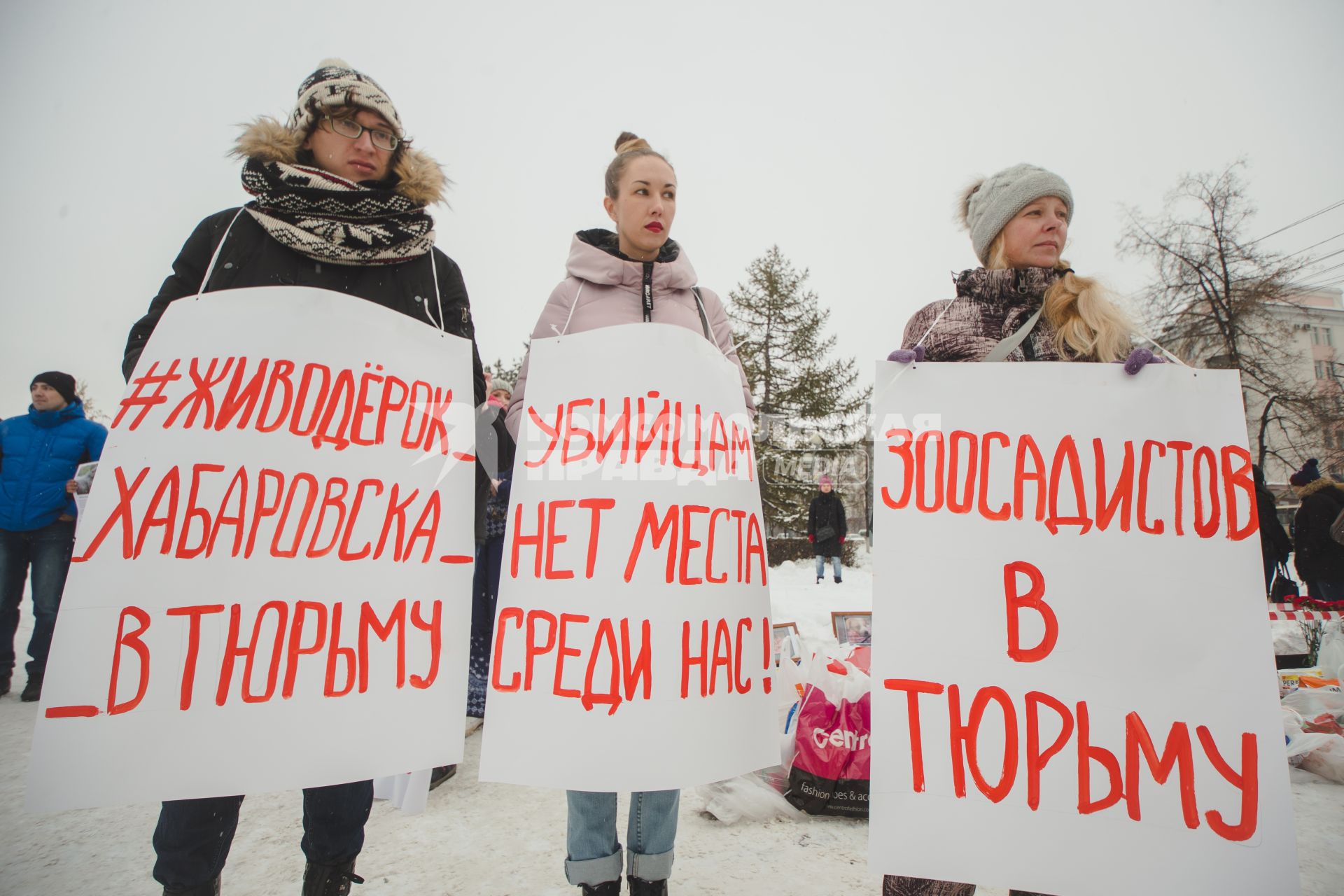 Челябинск.   Участники  Всероссийской акции против живодеров.