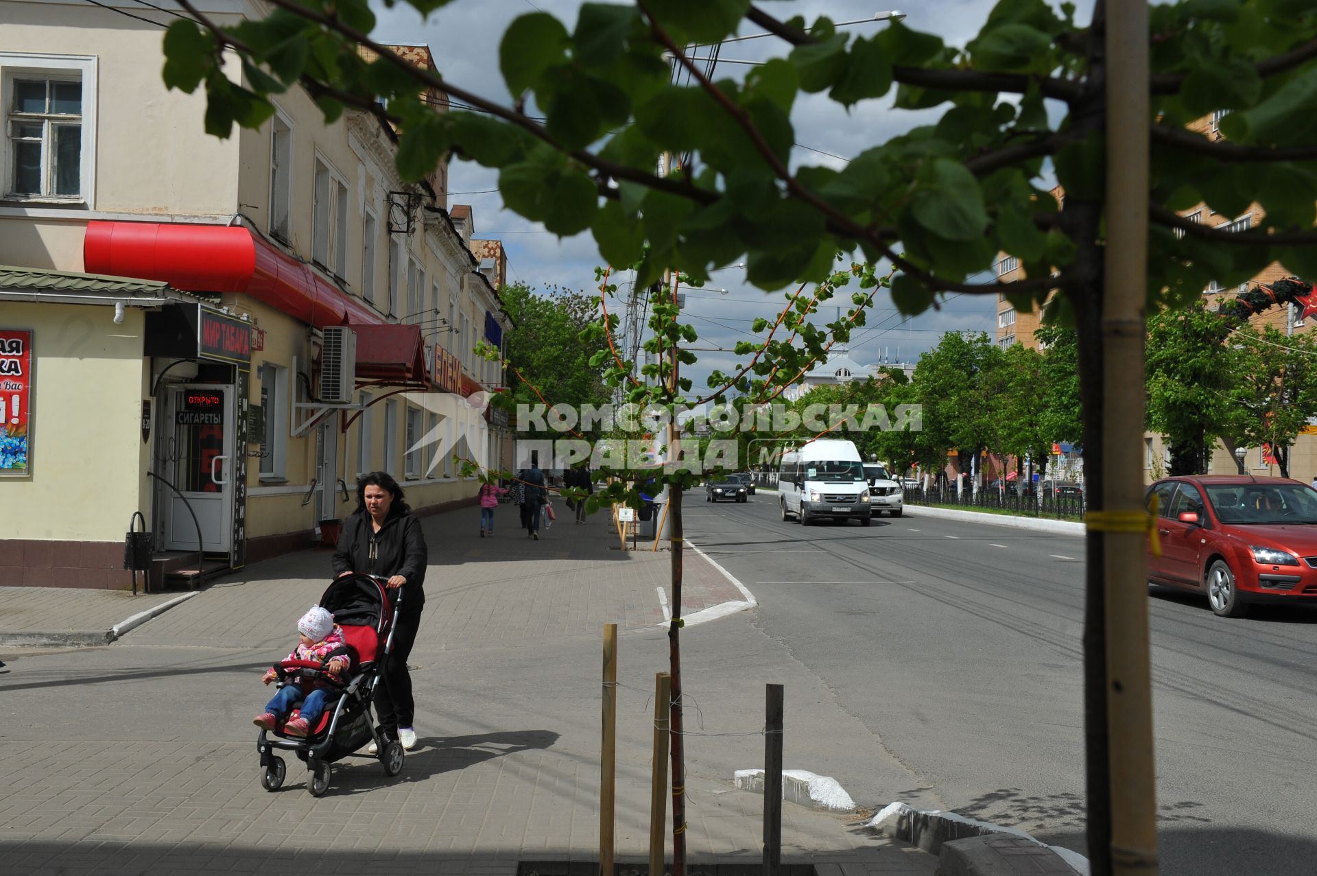 Калуга. Липовая аллея  , высаженная  по инициативе депутата горсовета и бизнесмена Якова Казацкого .