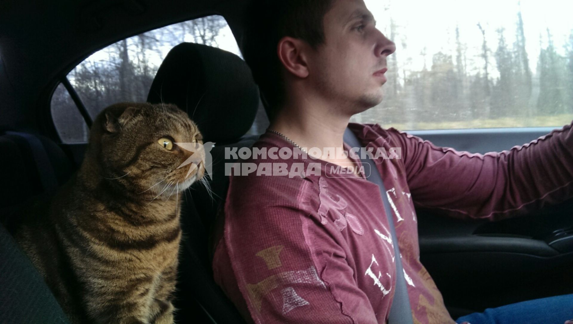 Москва. Мужчина с котом в автомобиле.