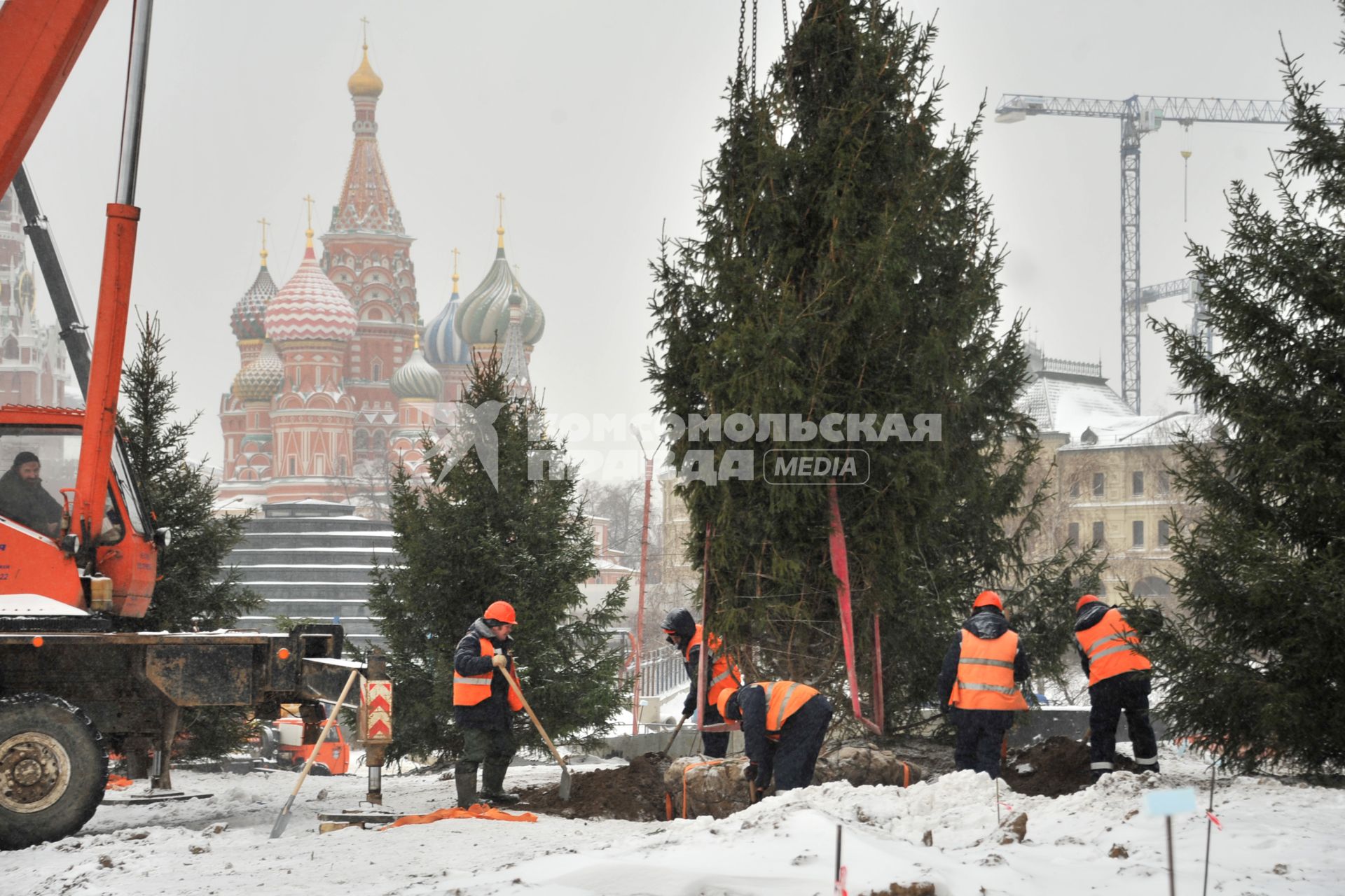 Москва.   Высадка деревьев на территории парка `Зарядье` на месте снесенной гостиницы `Россия`.