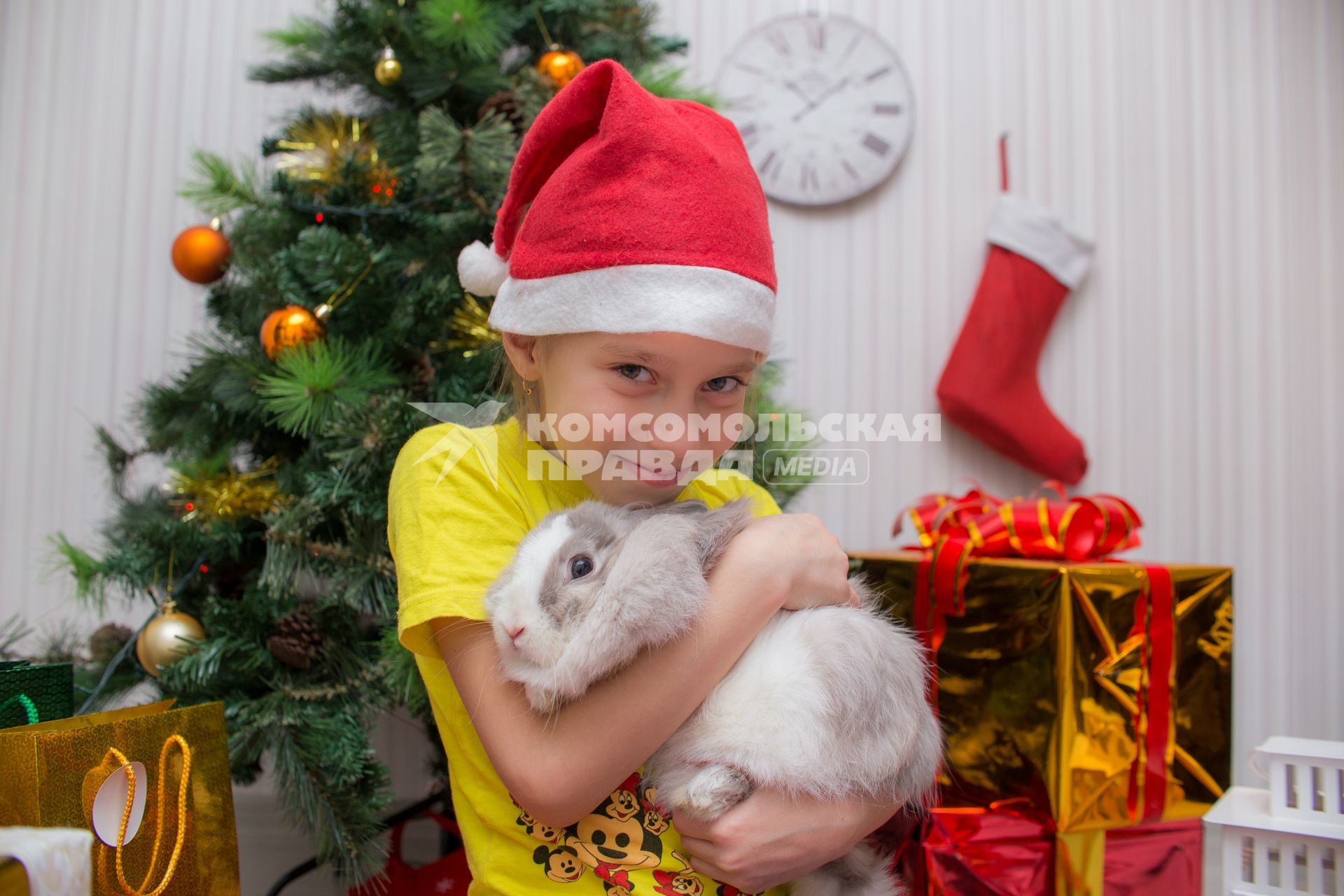 Челябинск. Девочка с кроликом  у новогодней елки.