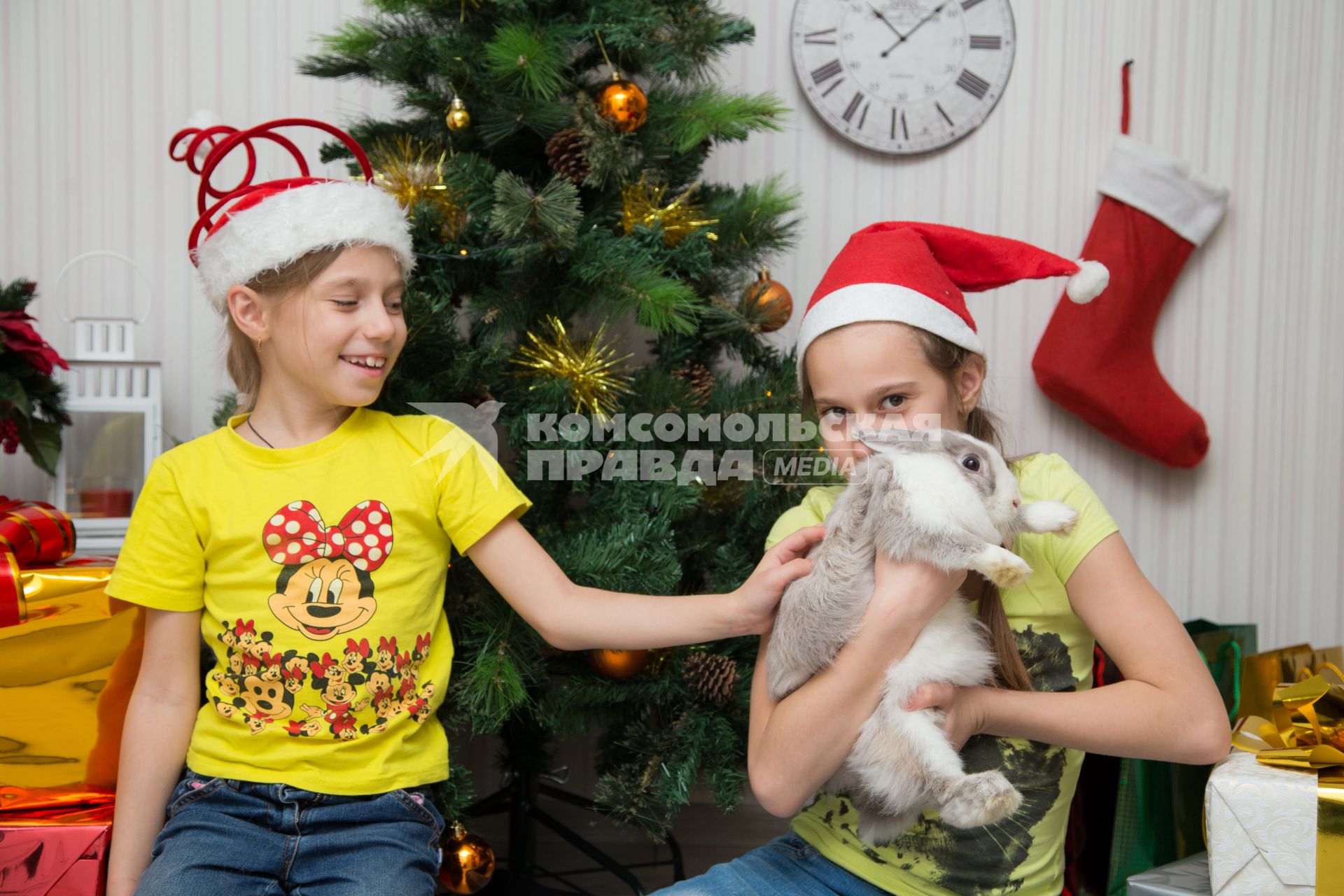 Челябинск. Девочки с кроликом  у новогодней елки.