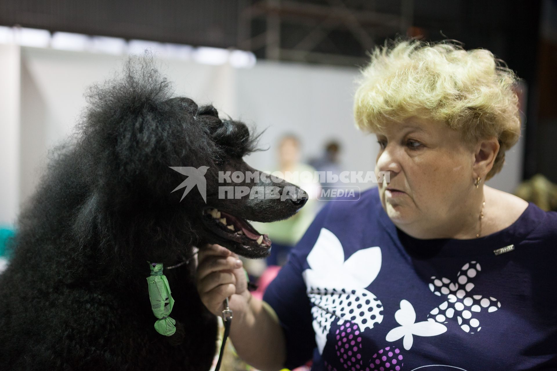 Ставрополь. Участница с собакой породы  пудель на Международной выставке собак.