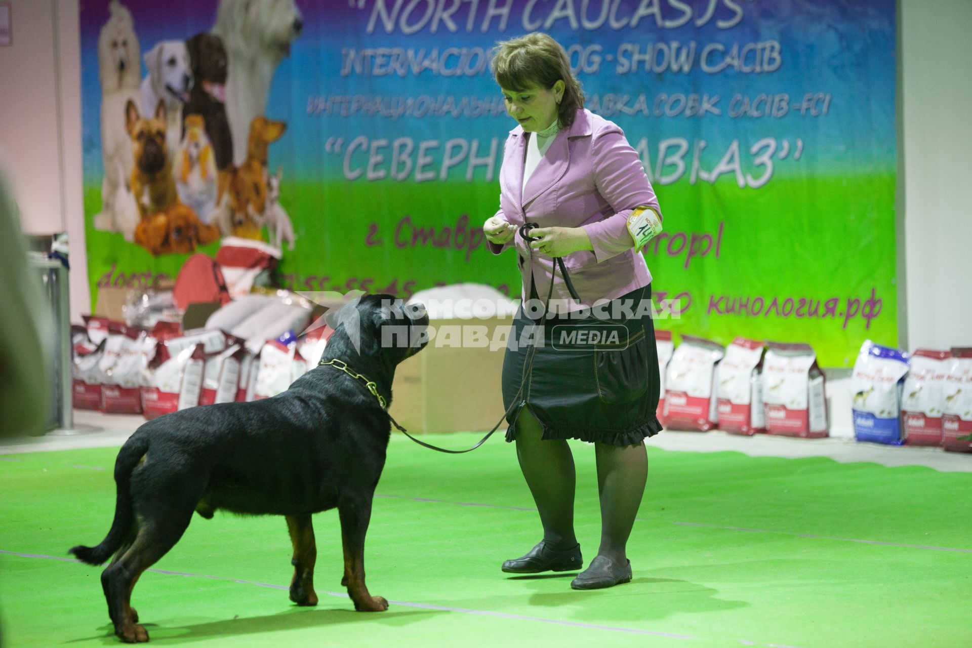 Ставрополь. Участница с собакой породы  ротвейлер на Международной выставке собак.