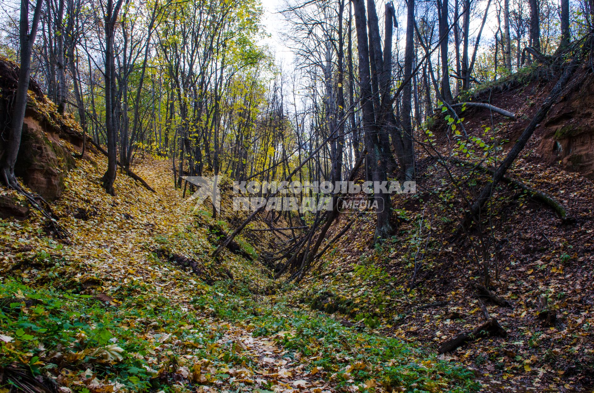 Самарская область. Осенний пейзаж.