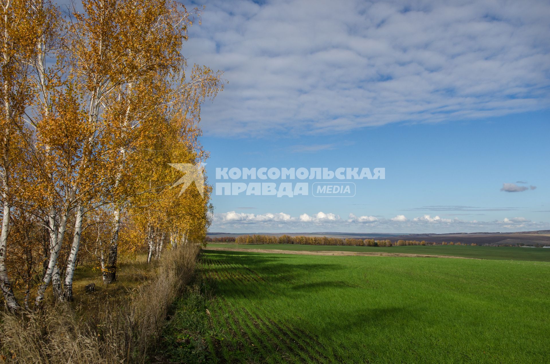 Самарская область. Осенний пейзаж.