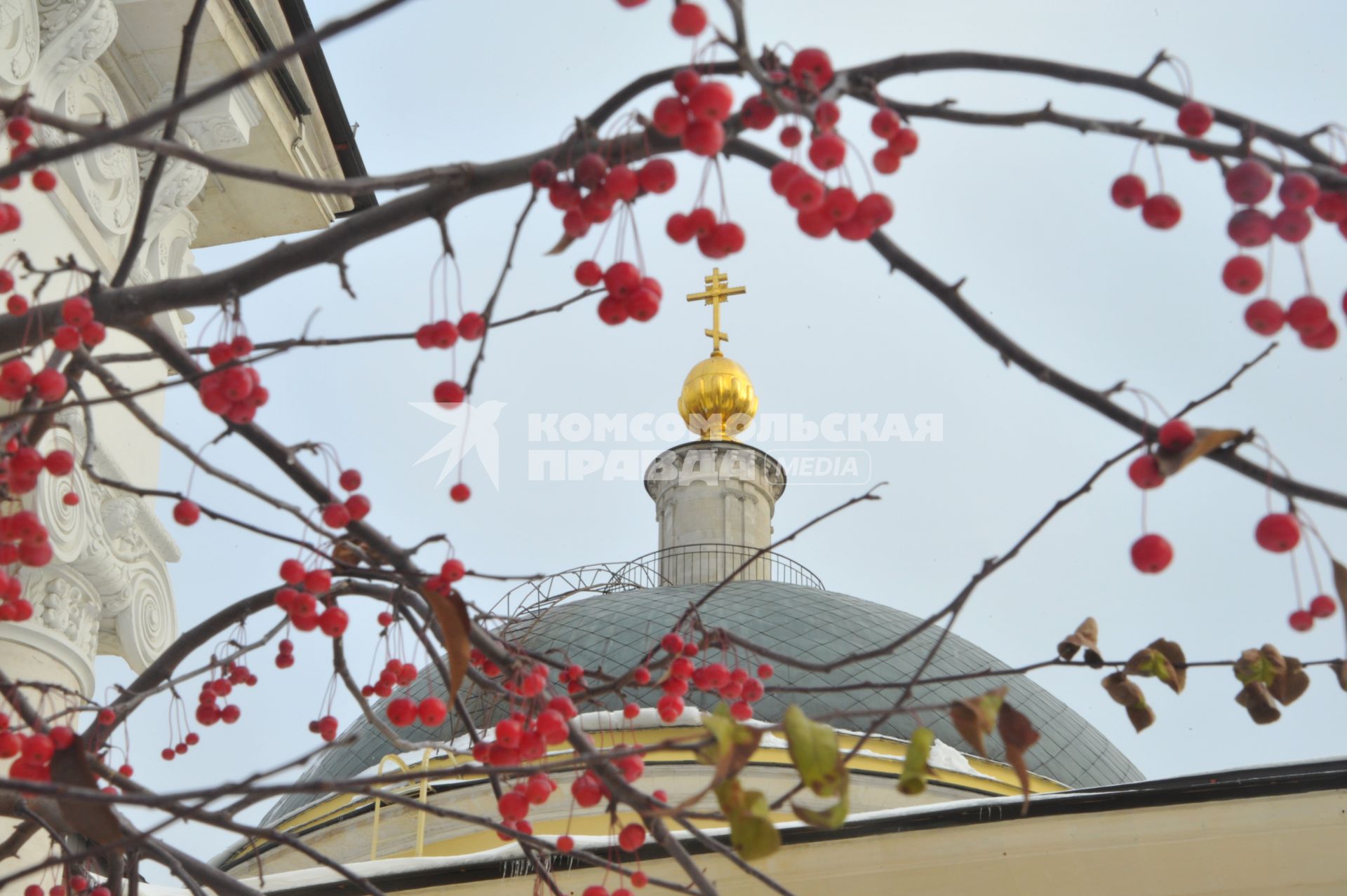 Москва. Купол храма Большое Вознесение  и  ветка с плодами красных райских яблок.