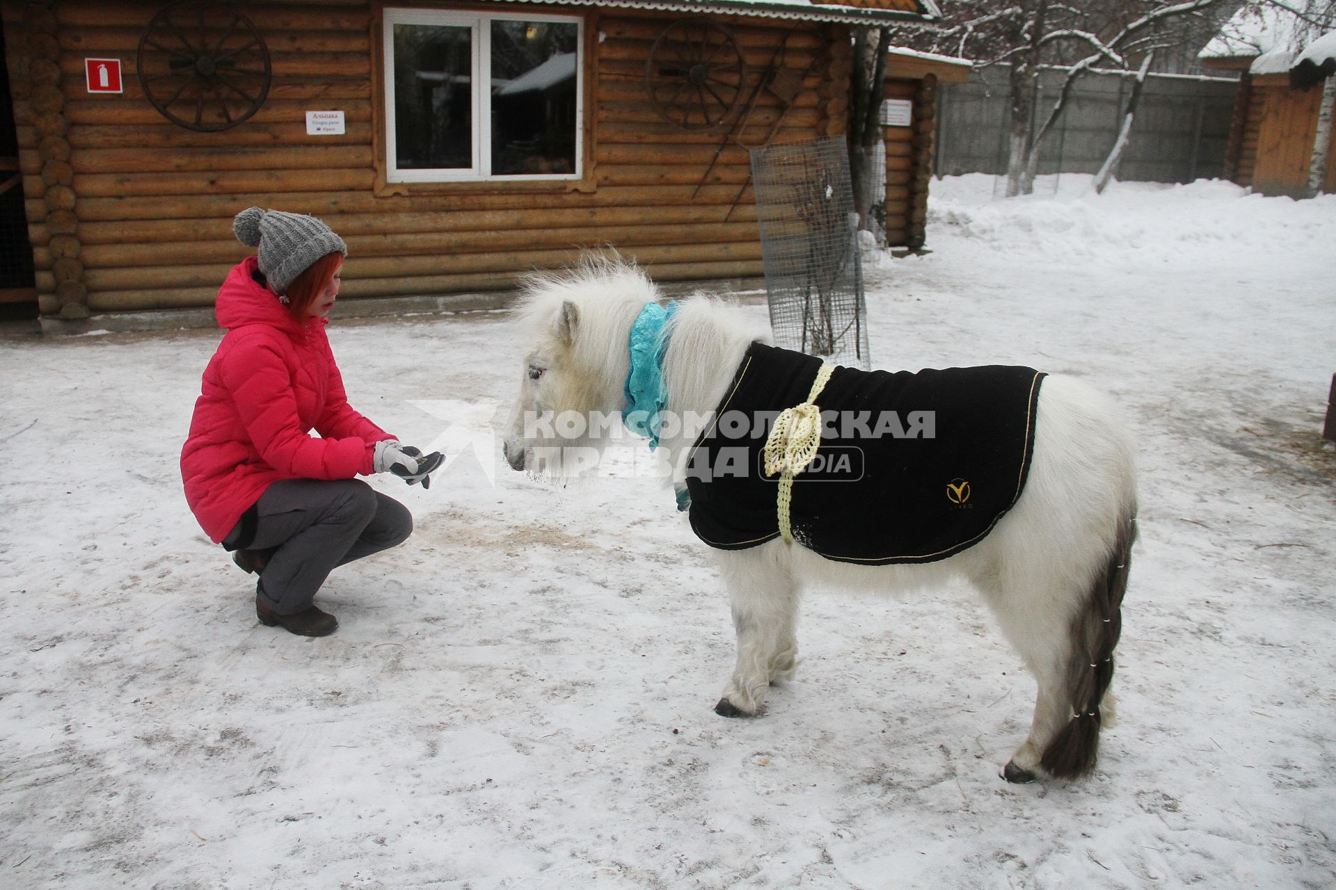 Нижний Новгород. Обитателей зоопарка `Лимпопо` нарядили в теплую одежду для защиты от мороза.