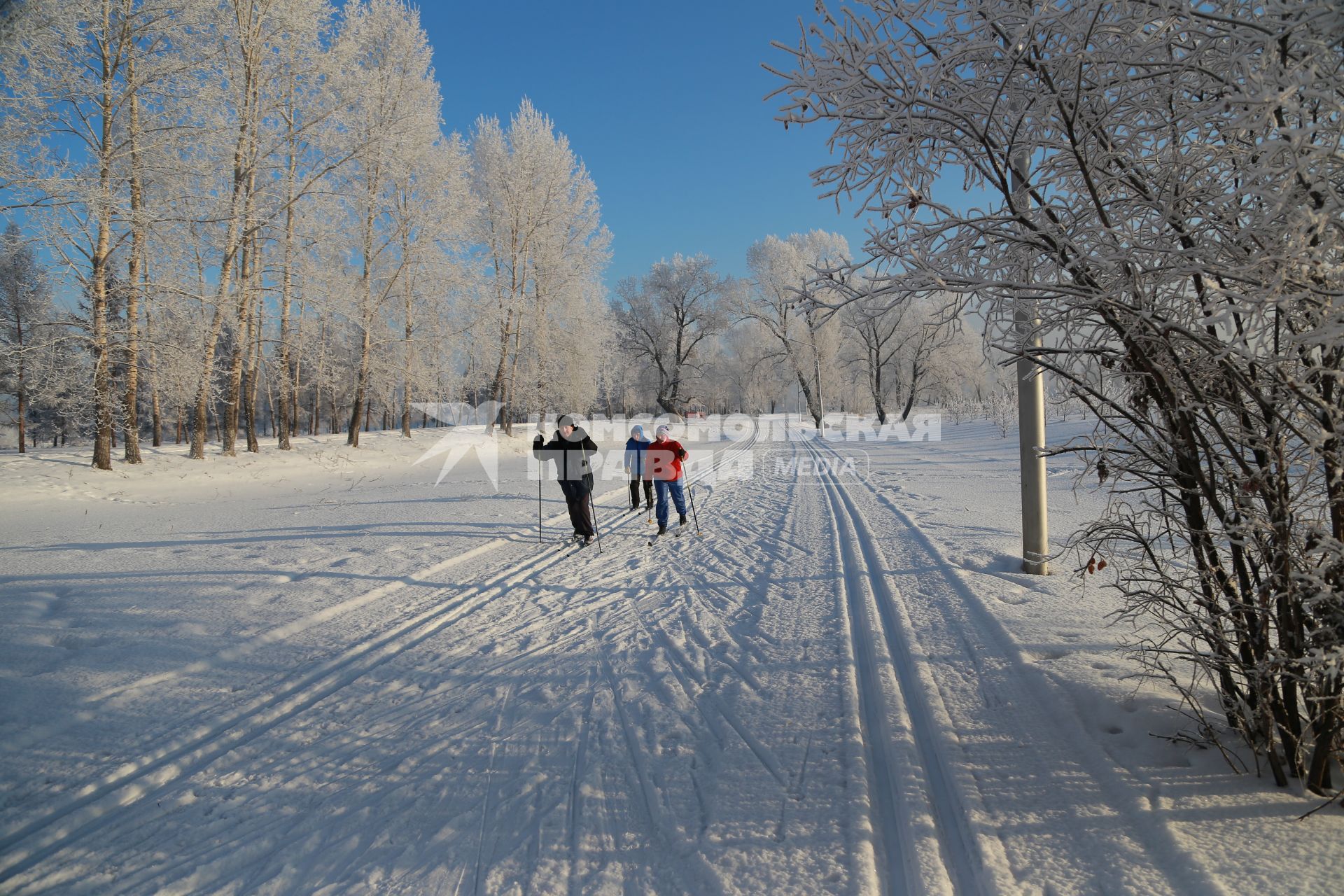 Красноярск.  Люди катаются на лыжах в парке.