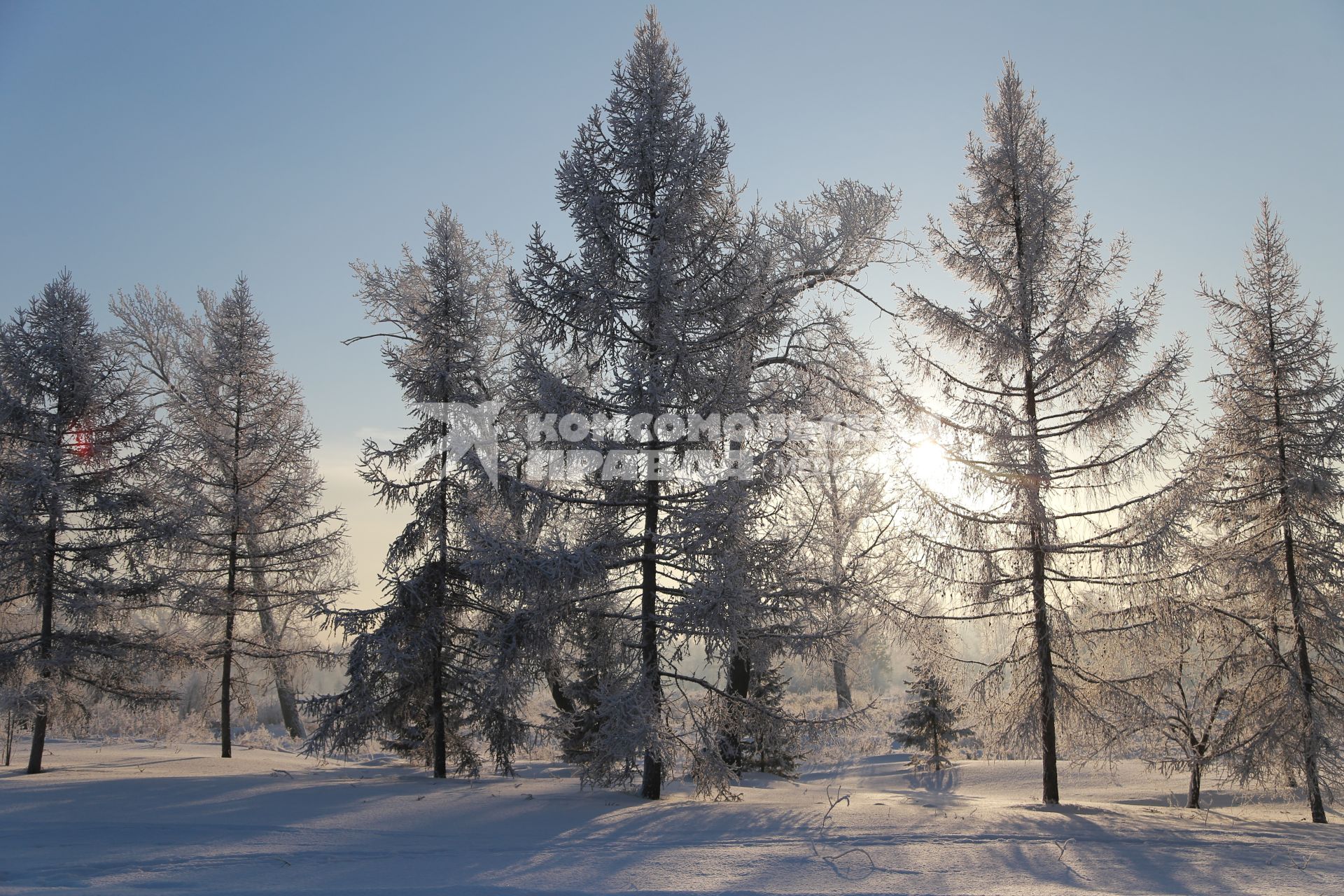 Красноярск.  Иней на деревьях.