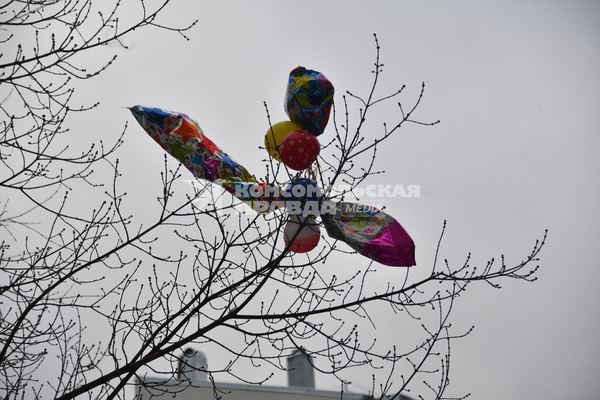 Москва.  Воздушные шары зацепились за ветки деревьев.