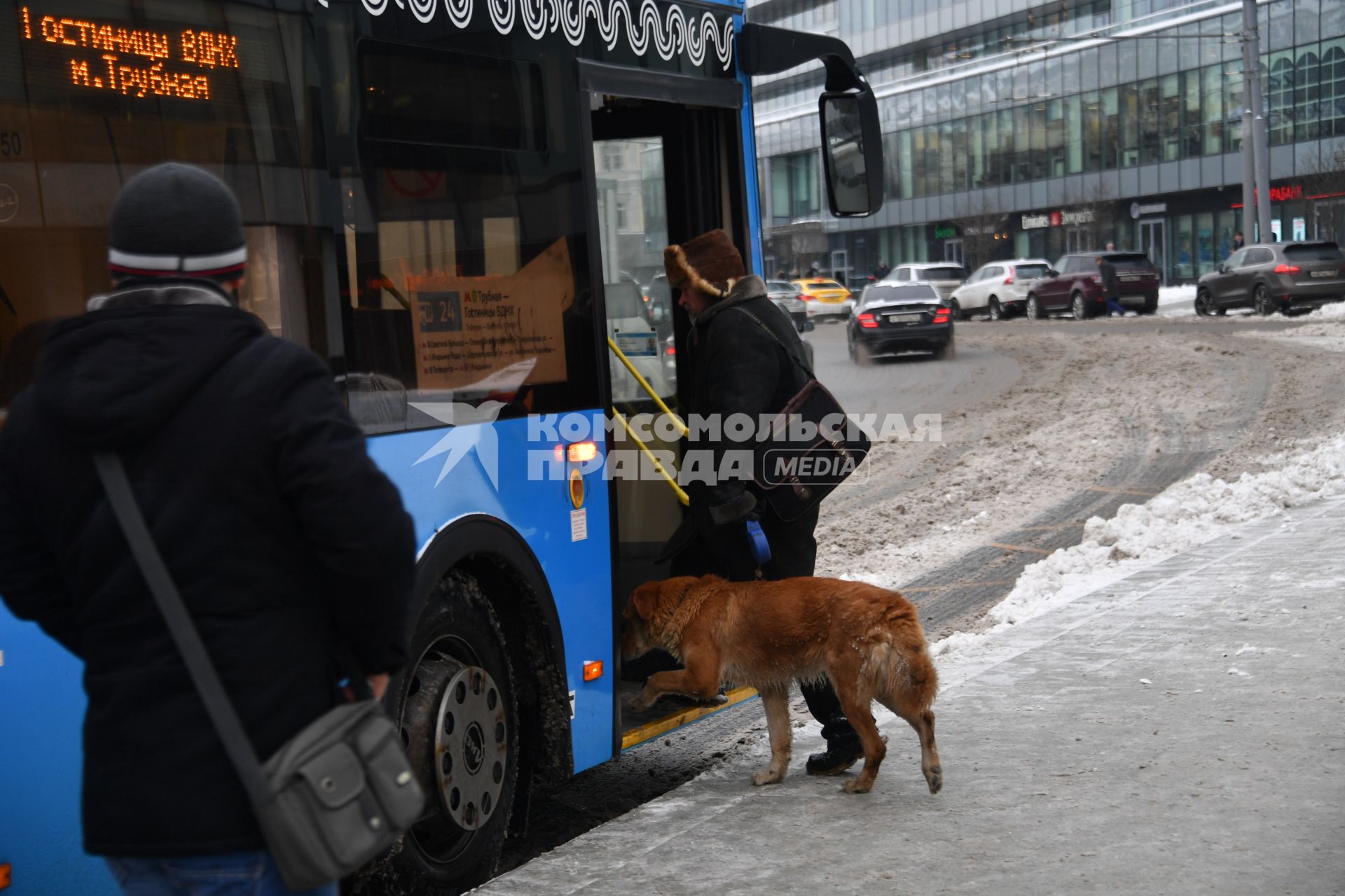 Москва.  Мужчина с собакой садится в автобус.