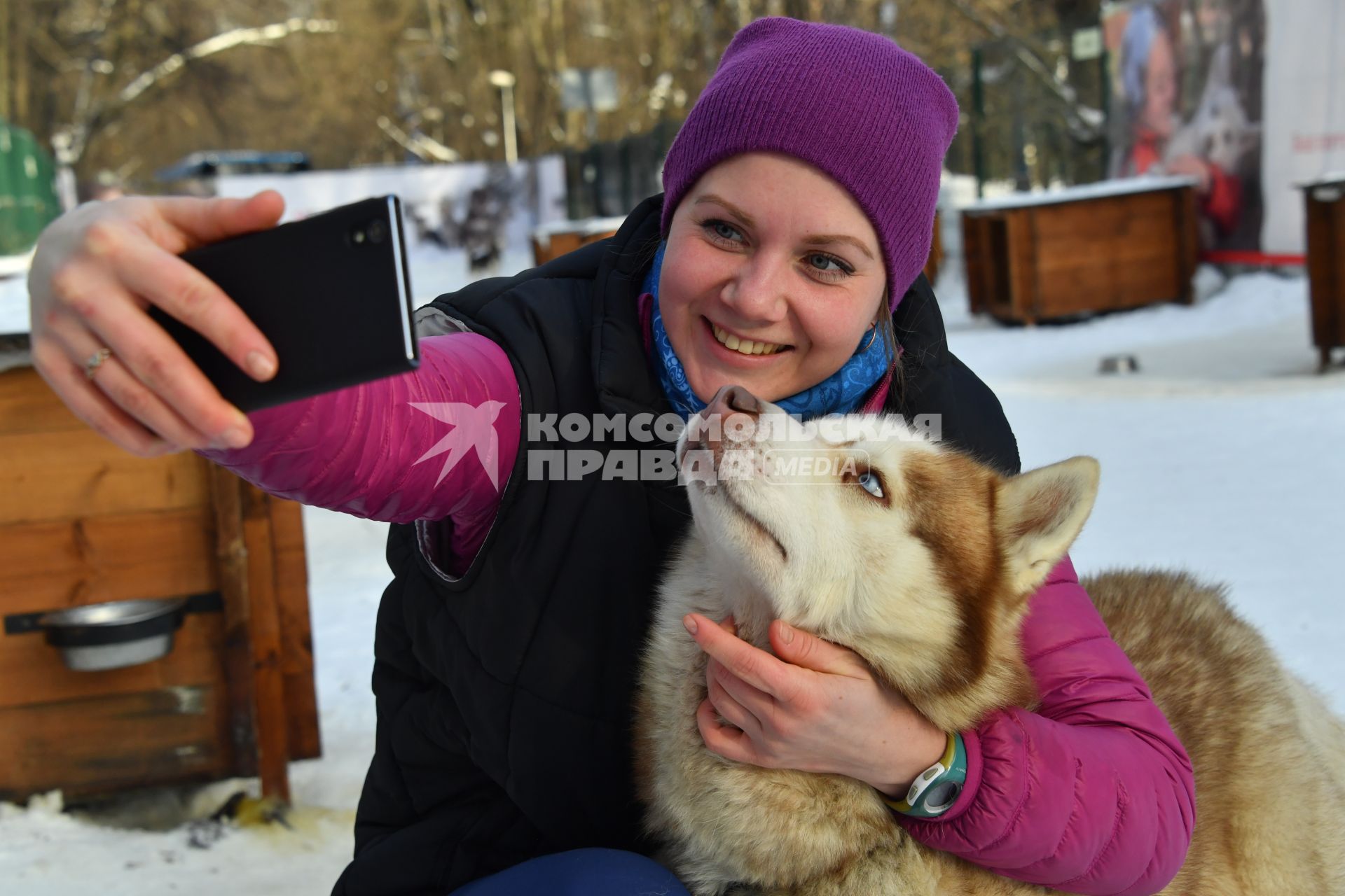 Москва. Девушка фотографируется  с собакой породы хаски в парке `Сокольники` , где проходит  реабилитационно-образовательная программа `По пути с хаски`.