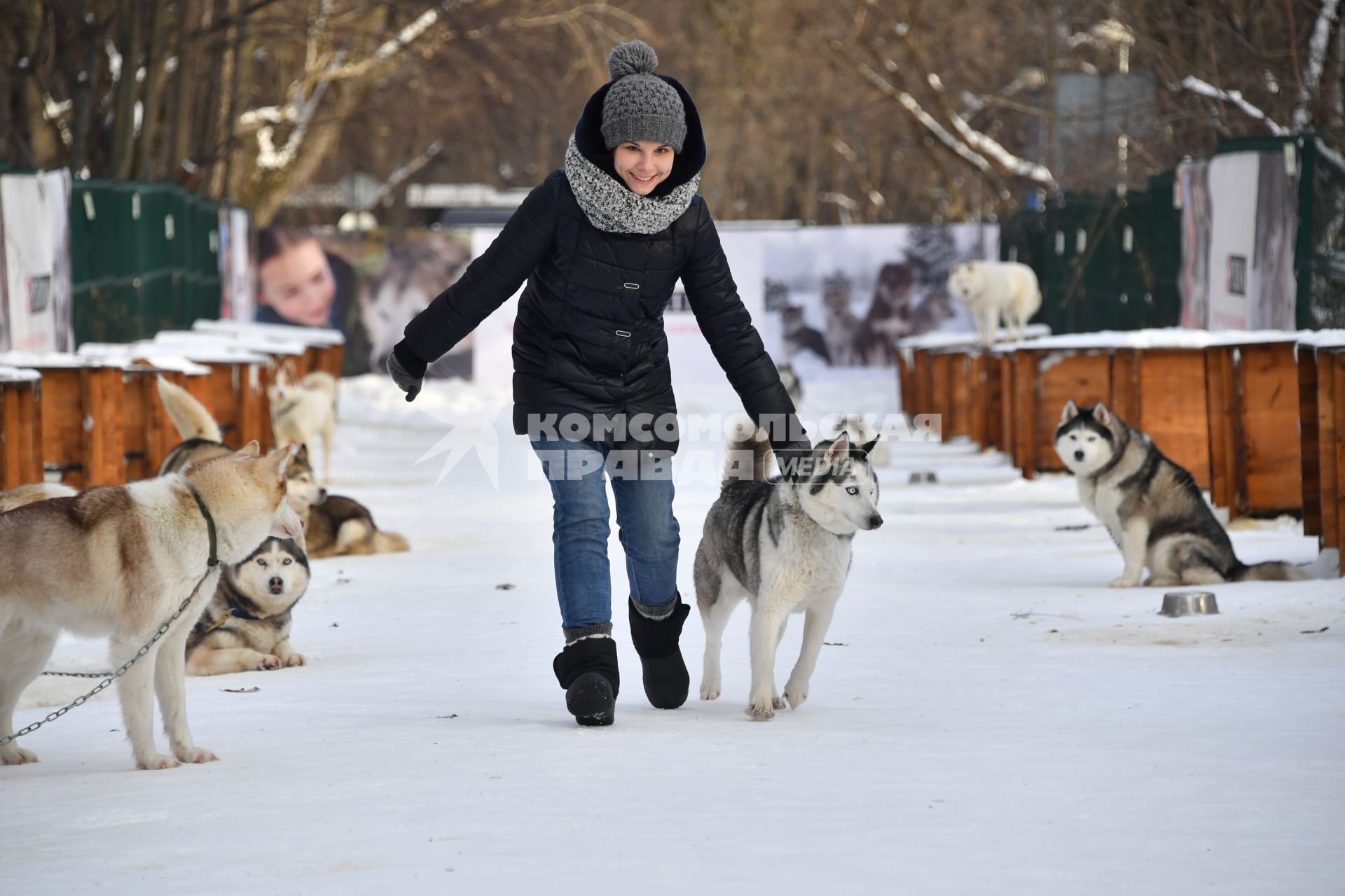 Москва.  Девочка играет с собакой породы хаски в парке `Сокольники` в рамках реабилитационно-образовательной  программы `По пути с хаски`.