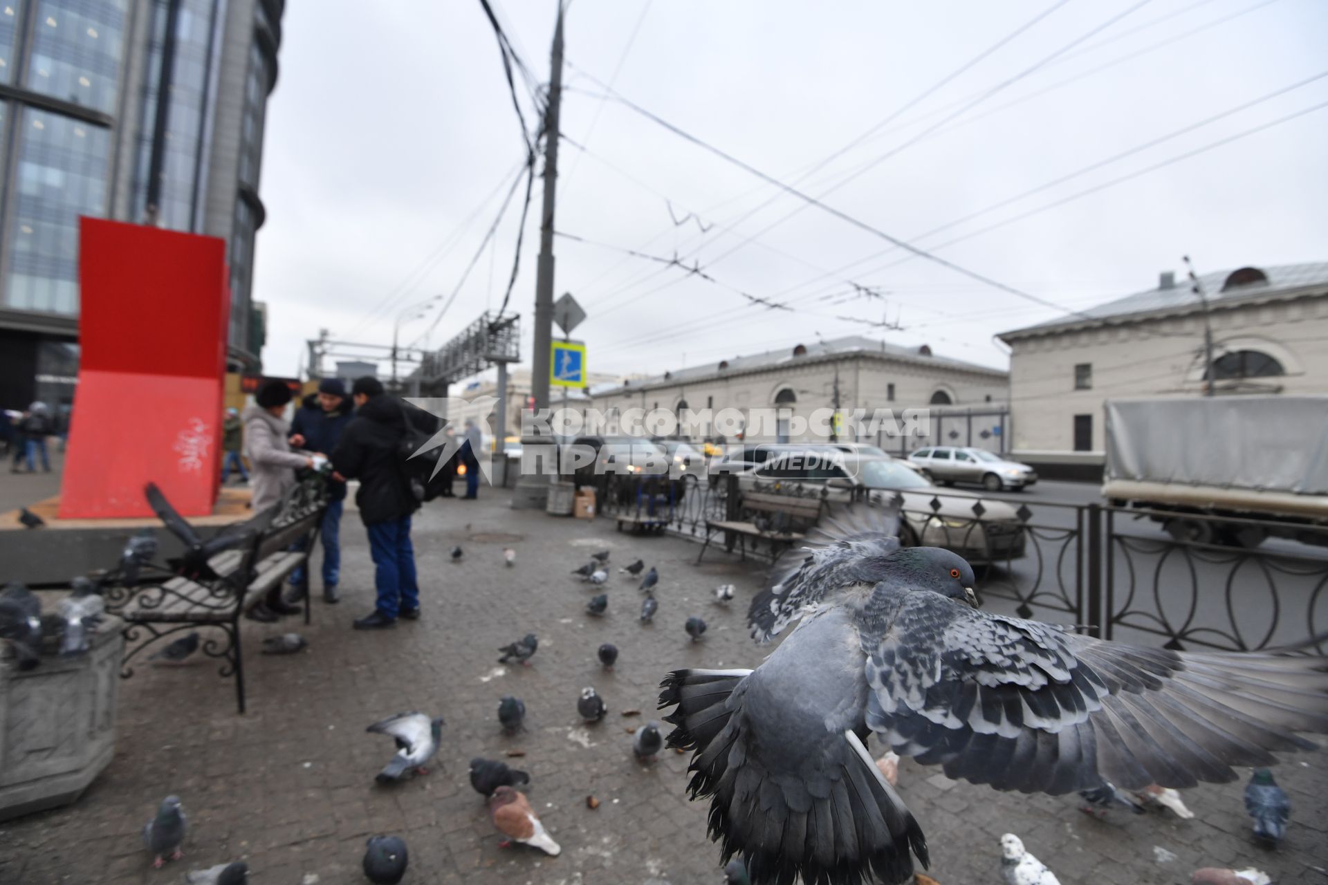 Москва.  Голуби возле станции метро `Парк Культуры`.