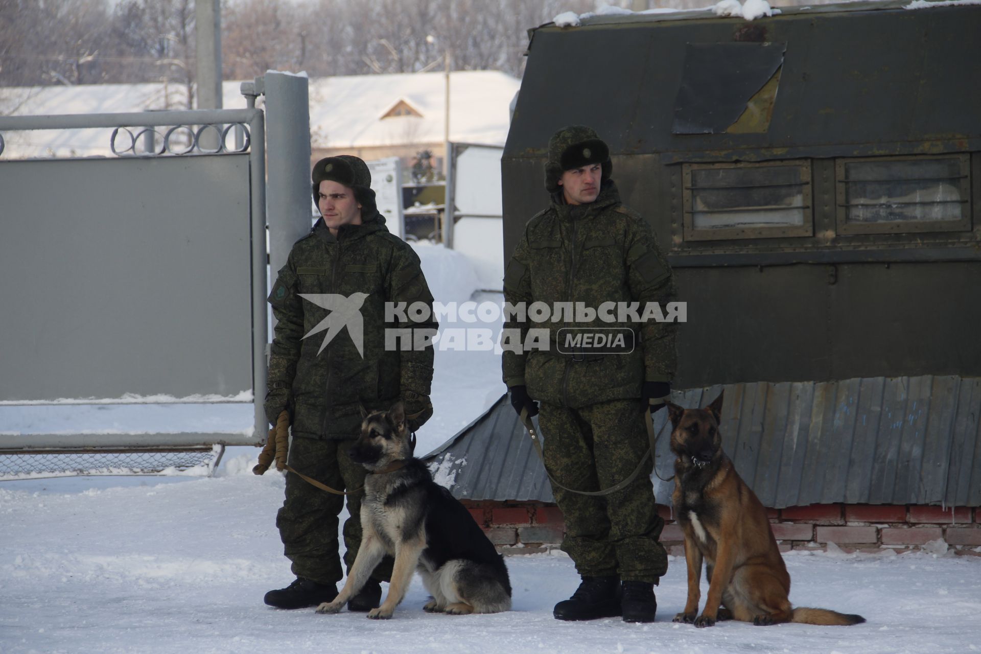 Башкирия. Служебная собака на военном полигоне Алкино-2 во время специальных учений ко Дню инженерных войск.