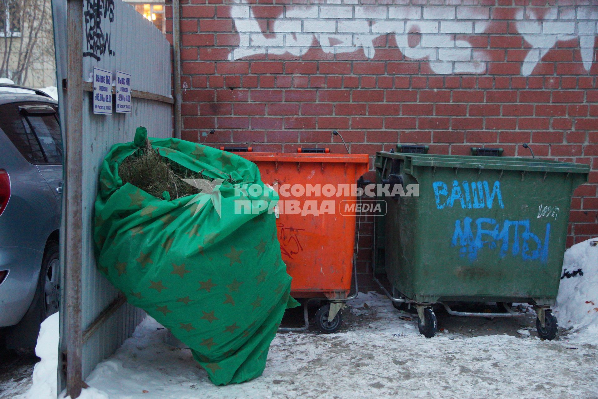 Екатеринбург. Выброшеная новогодняя елка на помойке