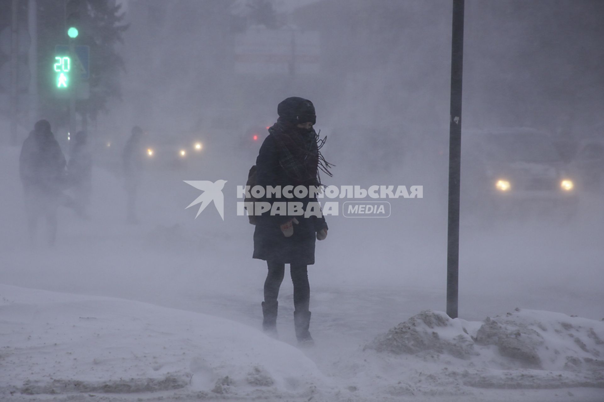 Барнаул. Прохожие на улице во время метели.