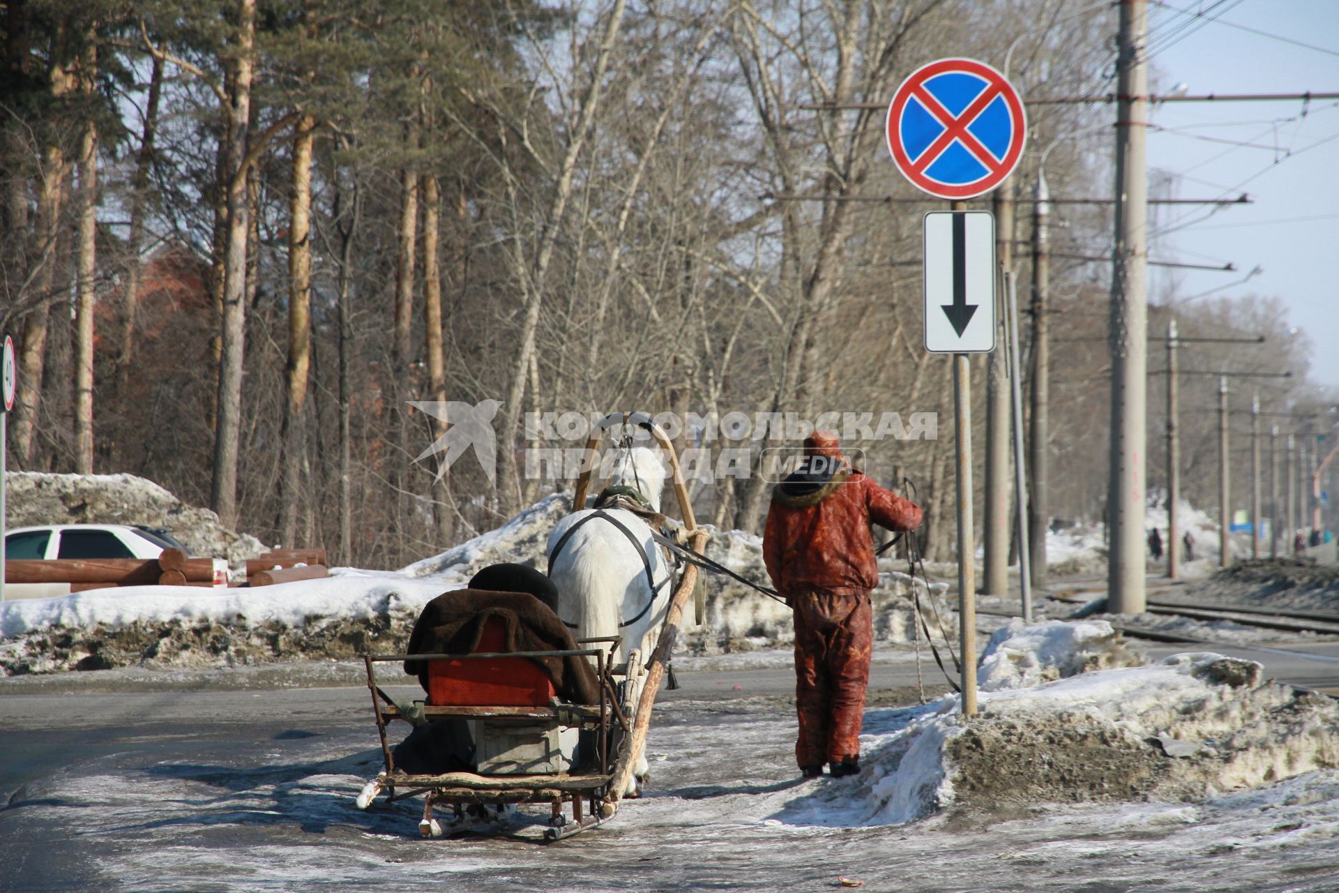 Барнаул. Запряженная в сани лошадь на одной из улиц города.