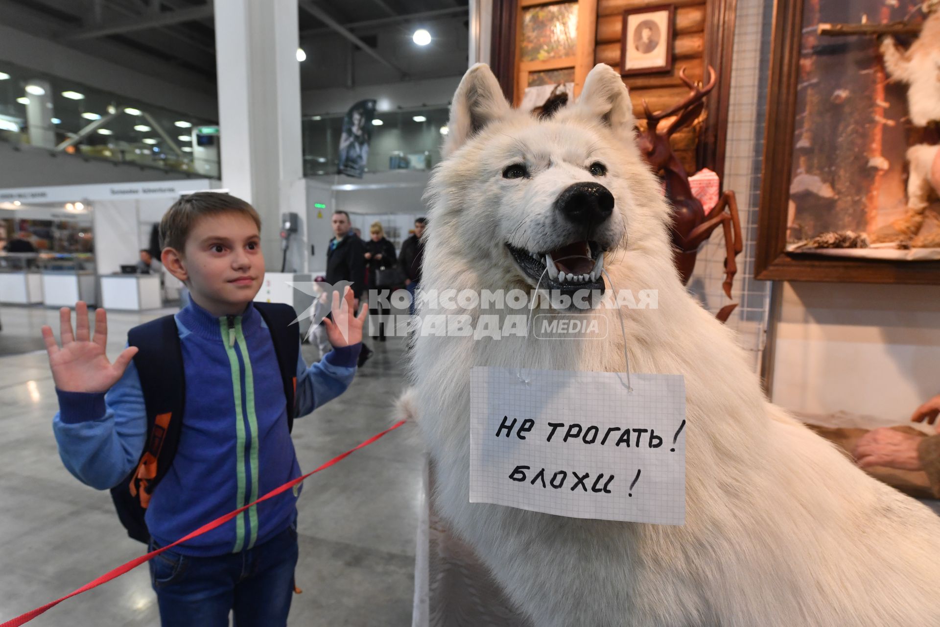 Москва. Мальчик рассматривает чучело полярного волка на 22-й Международной выставке `Охота. Рыбалка`  в МВЦ `Крокус Экспо`.