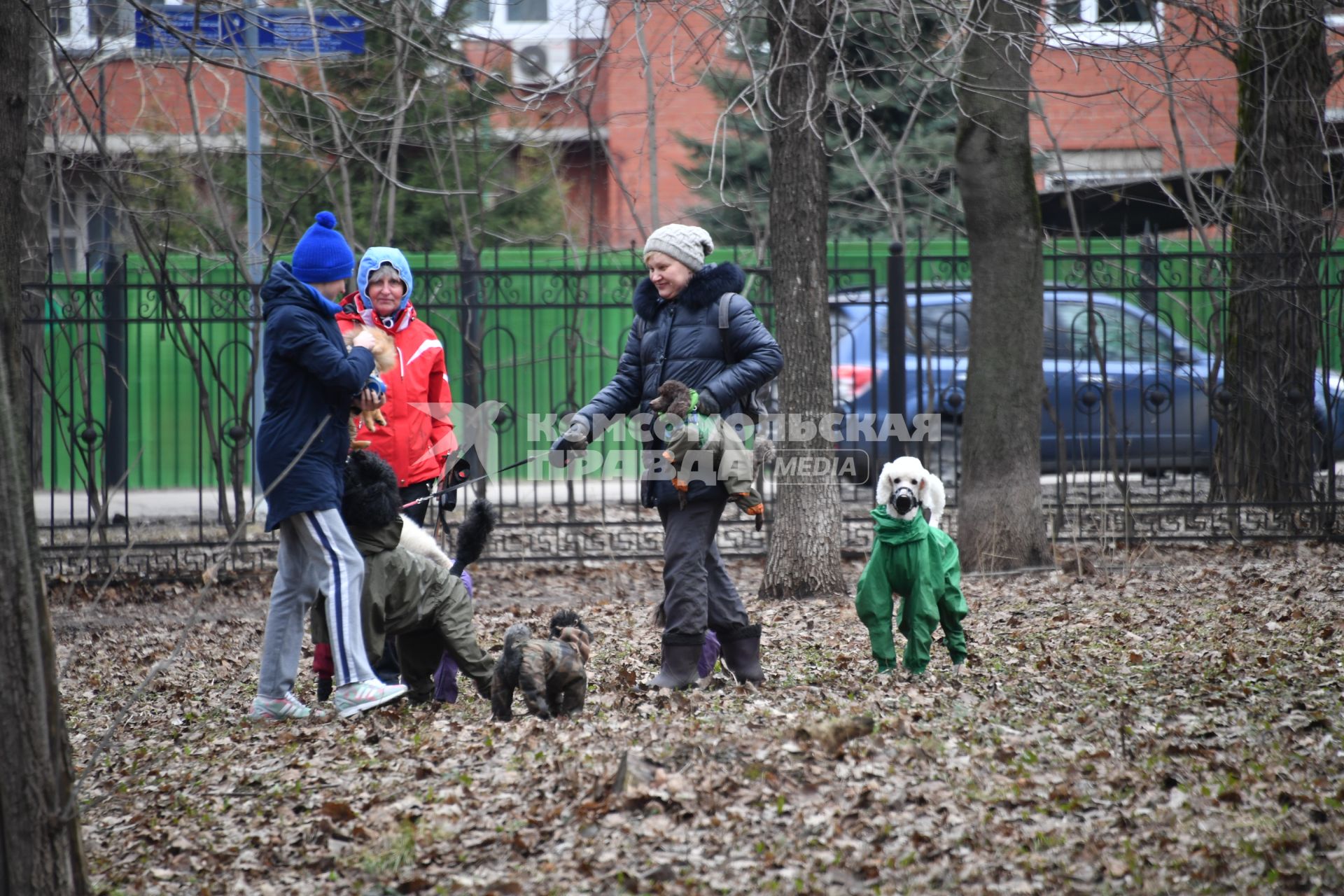 Москва. Женщины выгуливают собак в Петровском парке.