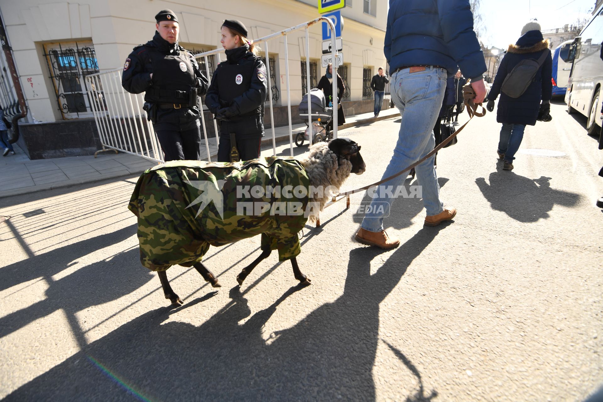 Москва.  Мужчина гуляет с овечкой на одной из улиц города.