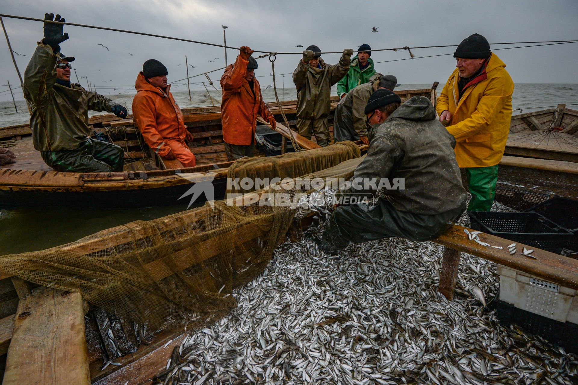 Украина, Новоазовский район , Безыменное. Промысловый лов рыбы в Таганрогском заливе.