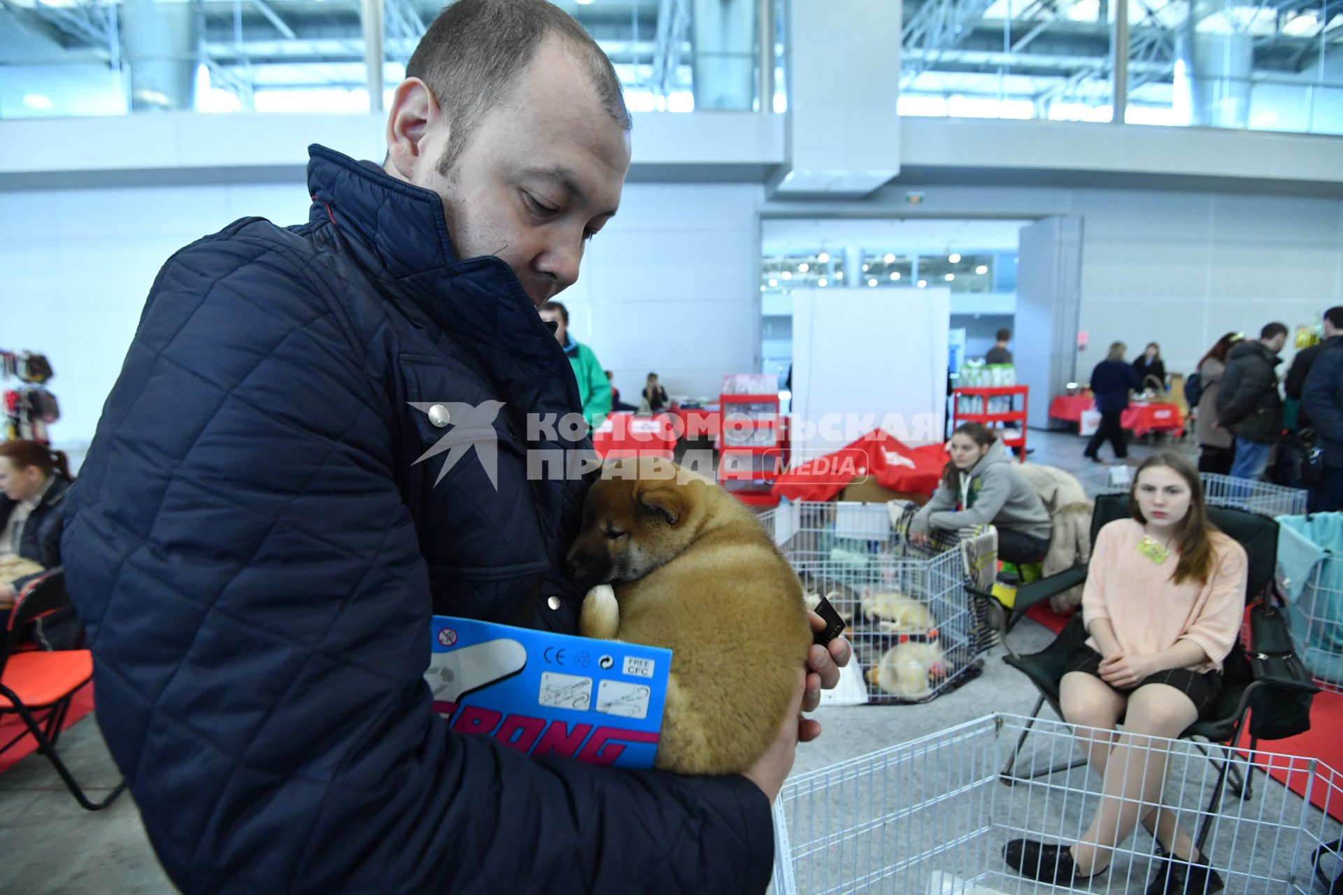 Москва. Корреспондент `Комсомольской правды` Евгений Беляков   держит на руках щенка  на выставке-продаже  щенков и котят  разных пород `БЭСТики ШОУ`в  Крокус Экспо.