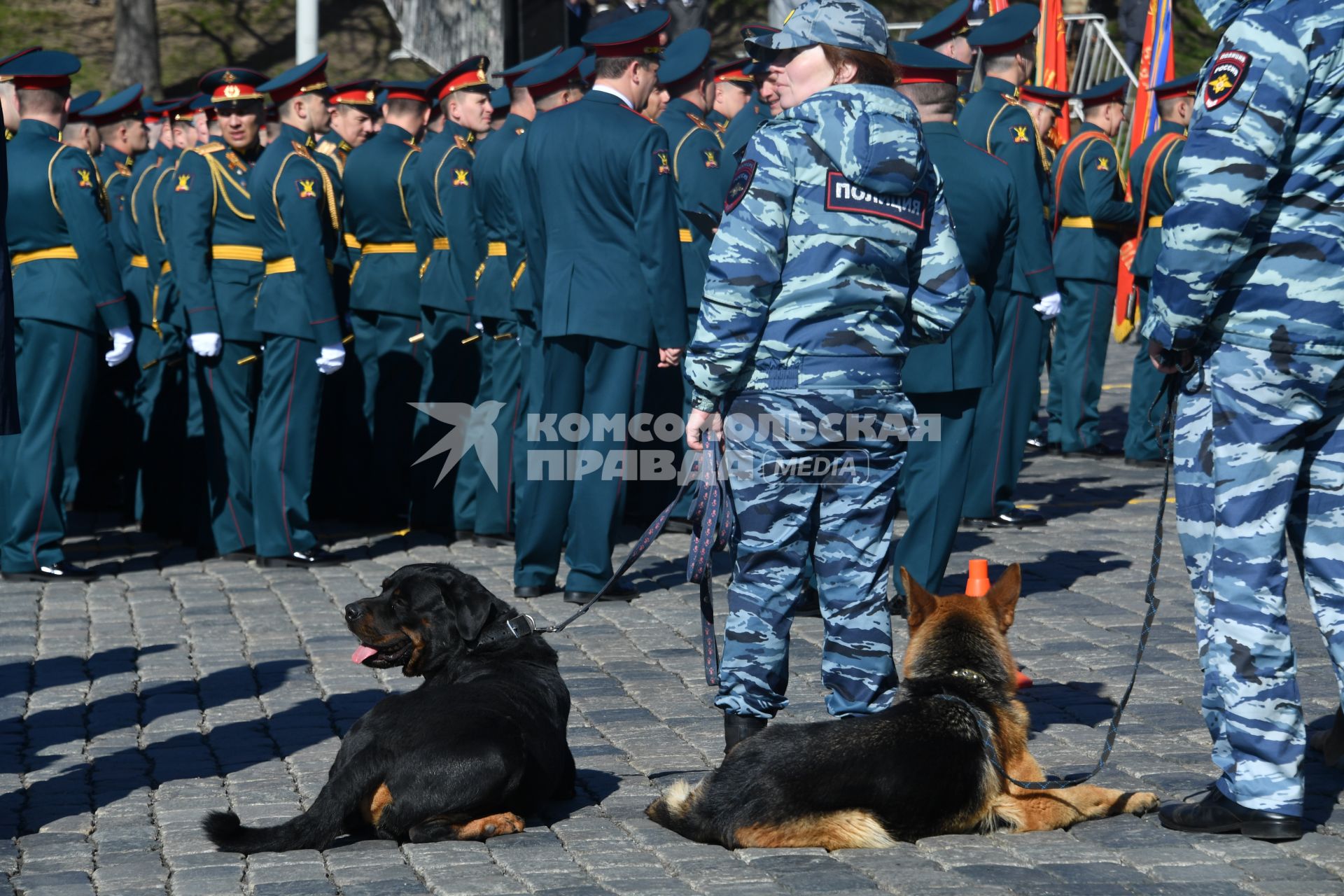 Москва.  Участники парада  и полицейские с собаками перед началом репетиции.