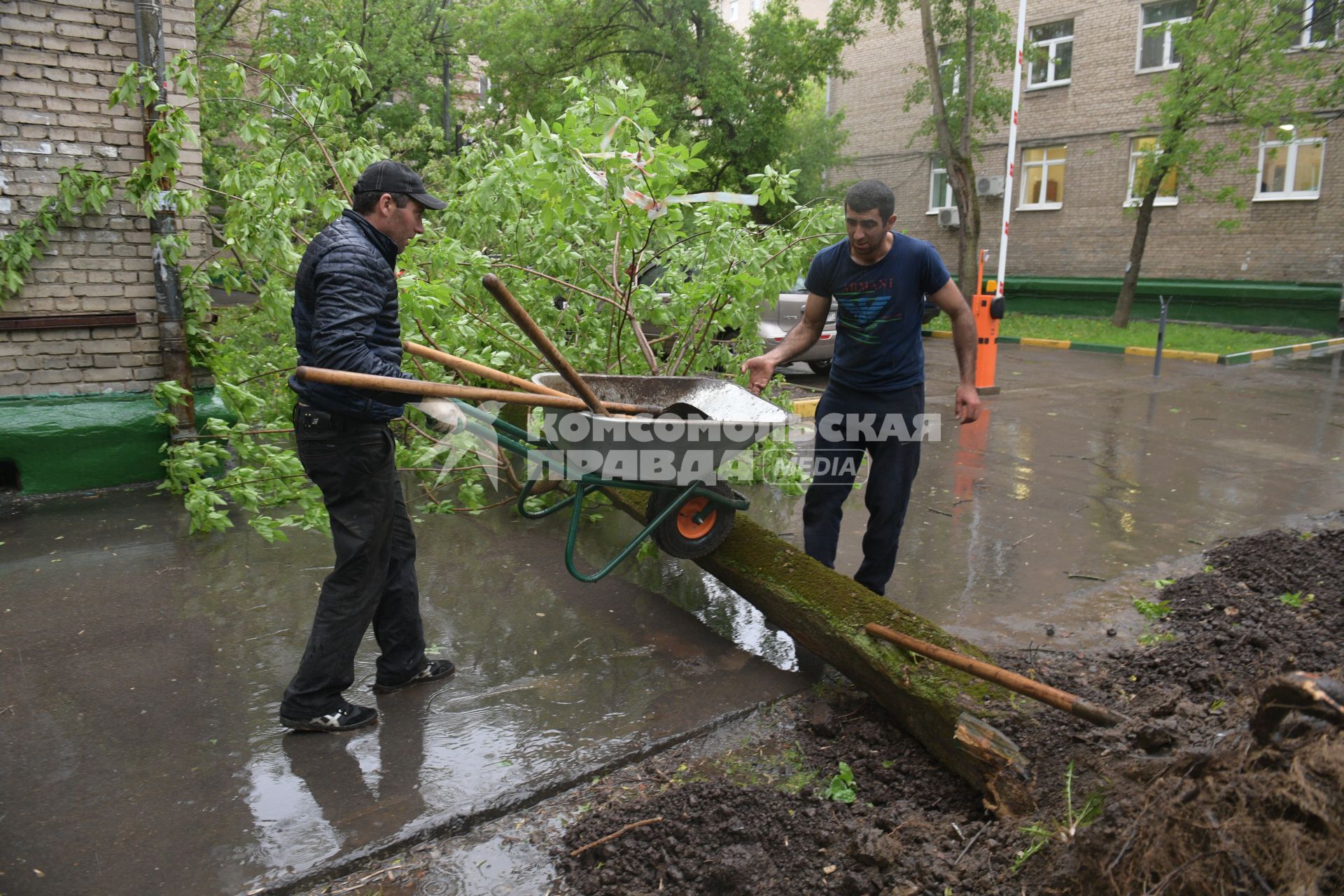 Москва.  Последствия урагана в городе.