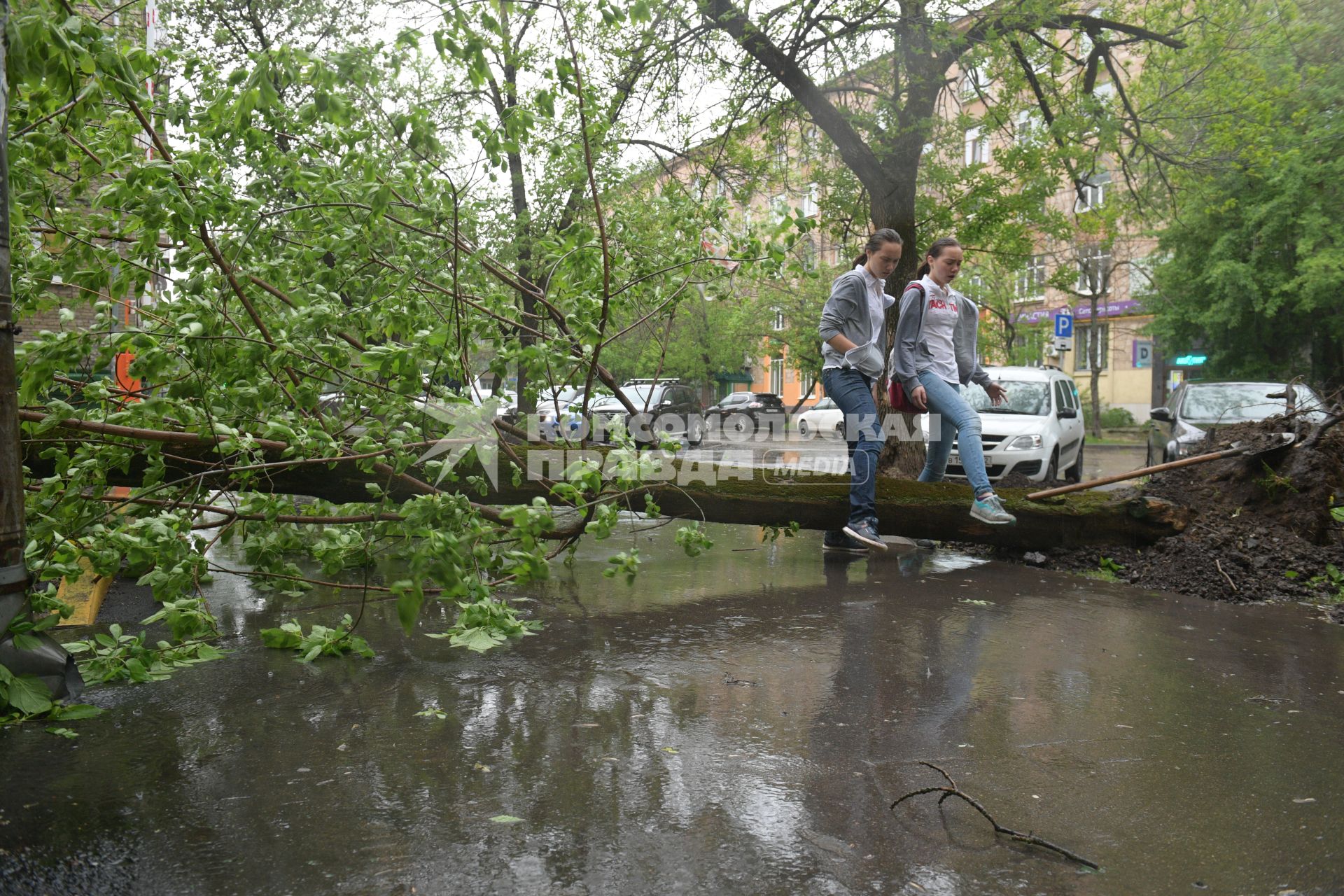 Москва.  Последствия урагана в городе.