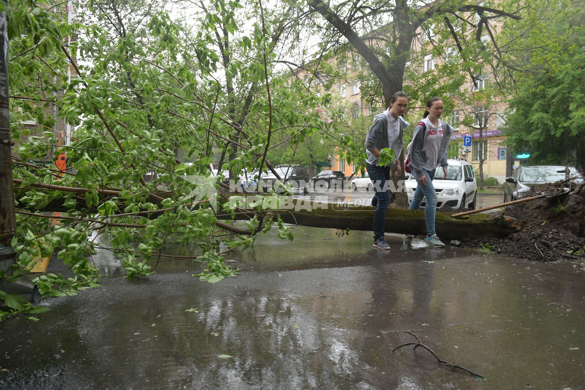 Москва.  Последствия урагана в городе.