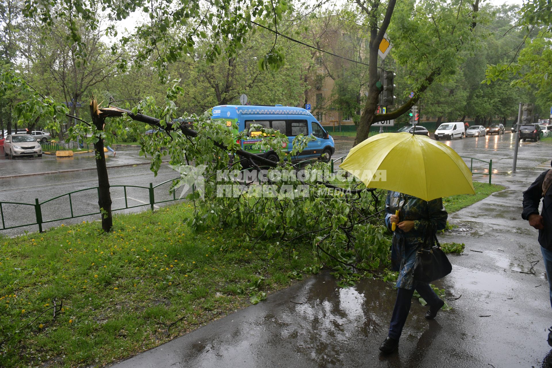 Москва.  Последствия урагана в городе.