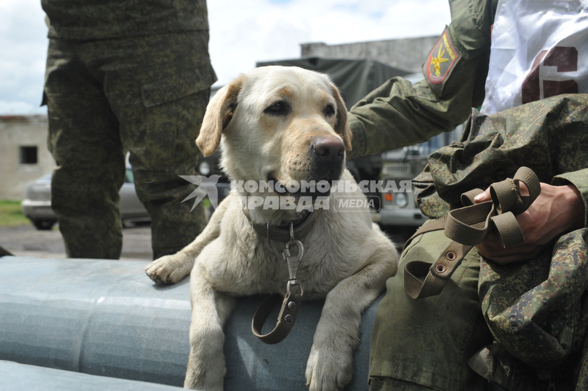 Хабаровск.  Военнослужащий с собакой на полигоне во время соревнований кинологов `Верный друг`.