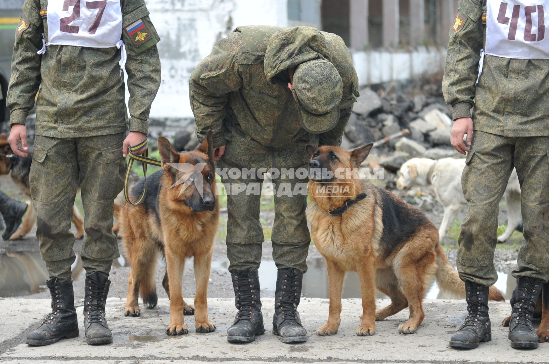 Хабаровск. Военнослужащие с собаками на полигоне во время соревнований кинологов `Верный друг` .