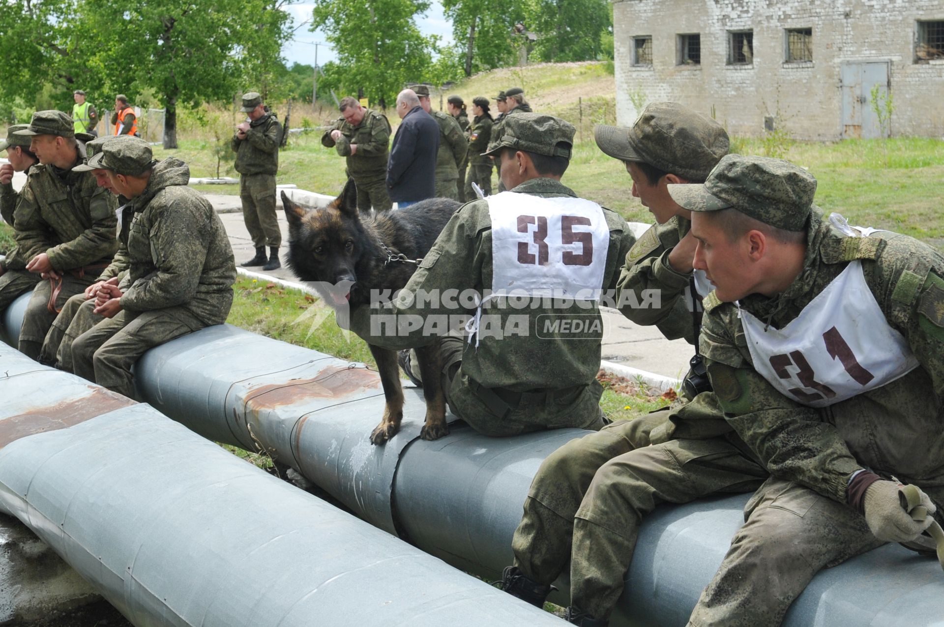 Хабаровск. Военнослужащие с собакой на полигоне во время соревнований кинологов `Верный друг` .