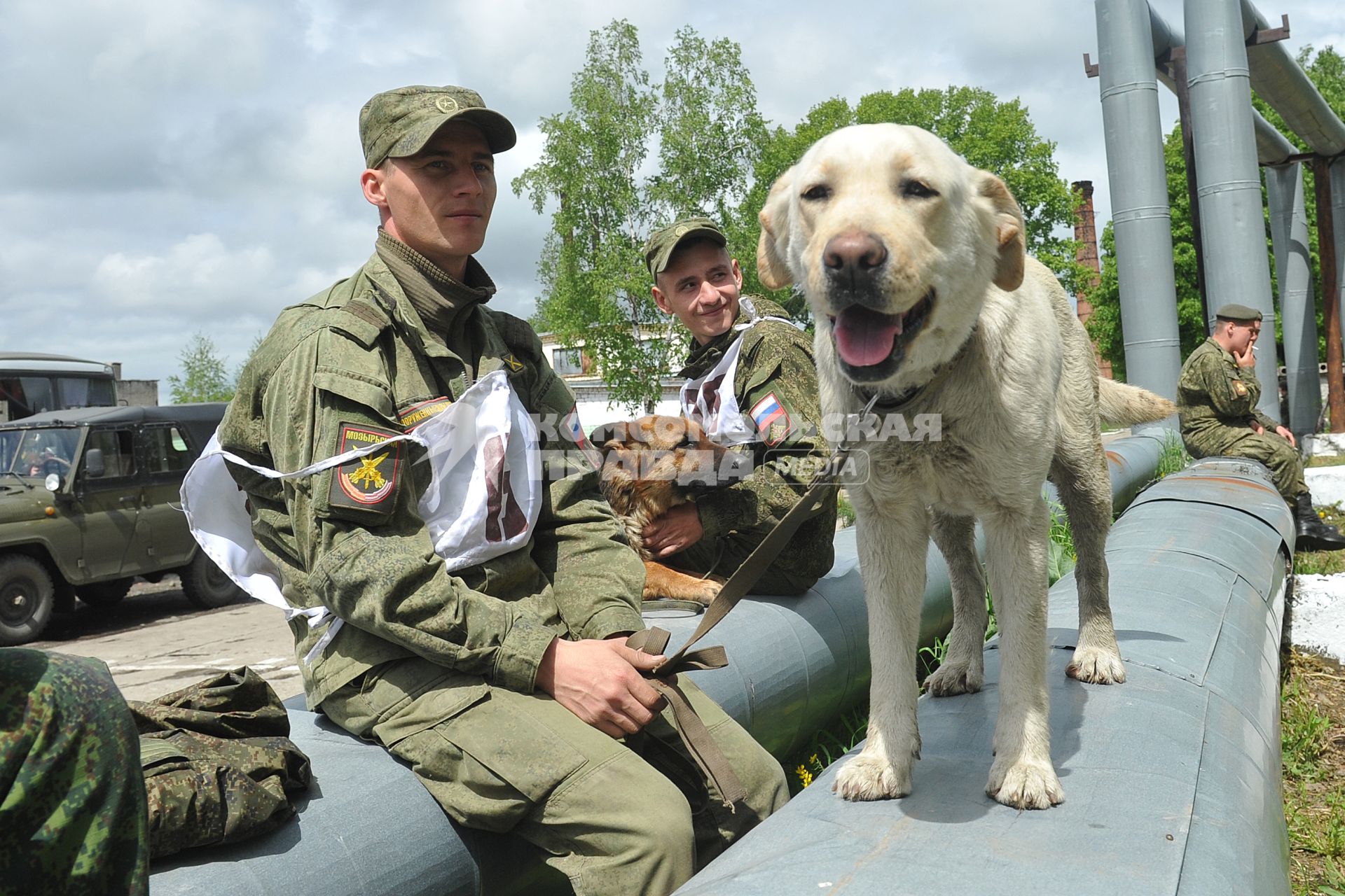 Хабаровск.  Военнослужащие с собаками на полигоне во время соревнований кинологов `Верный друг`.