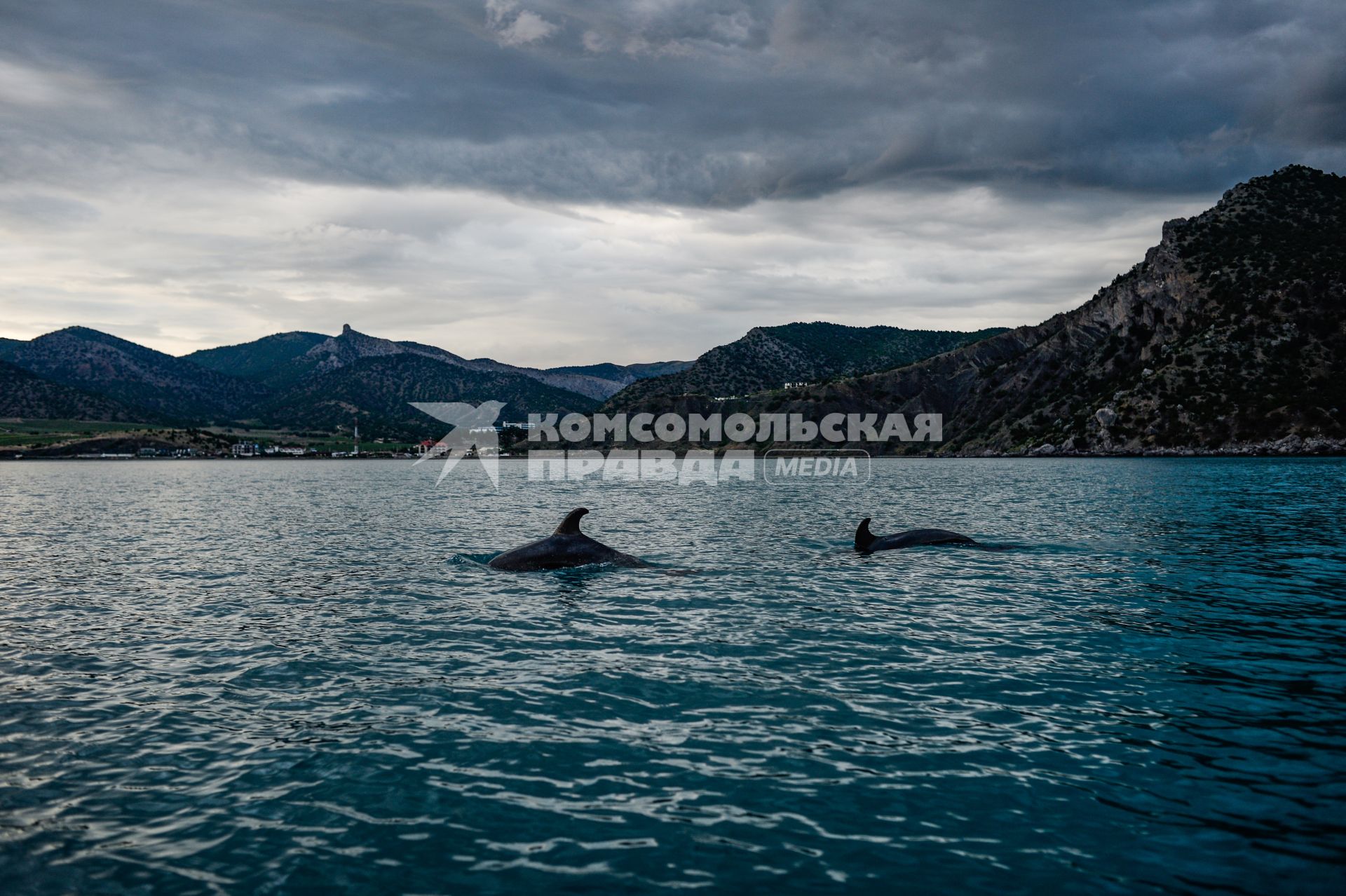 Крым, Новый Свет.  Вид на поселок с моря.