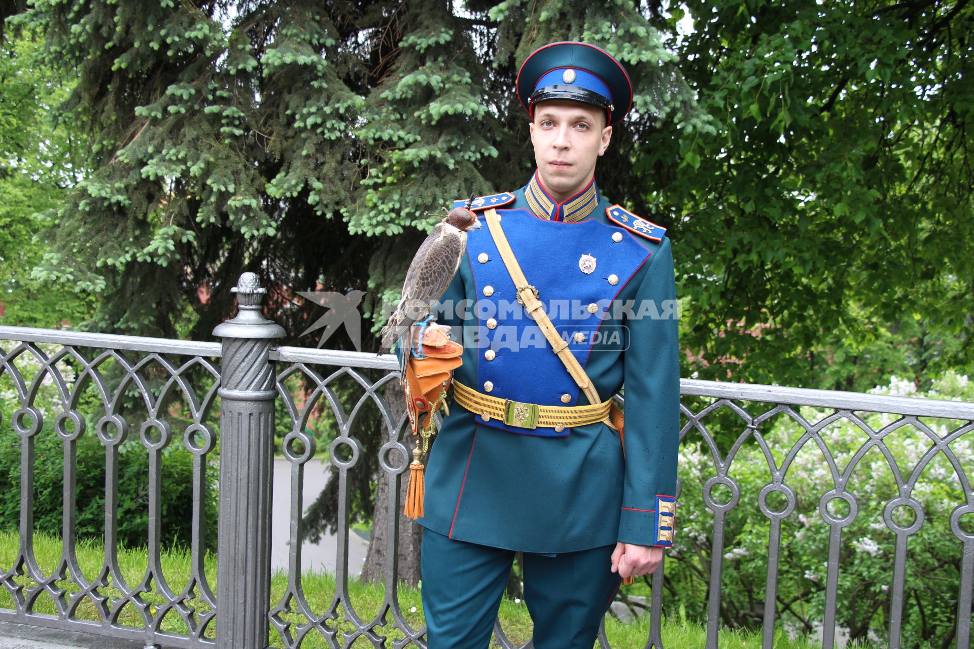 Москва. Программа выпуска в природу сокола-сапсана стартовала в Большом Кремлевском сквере.