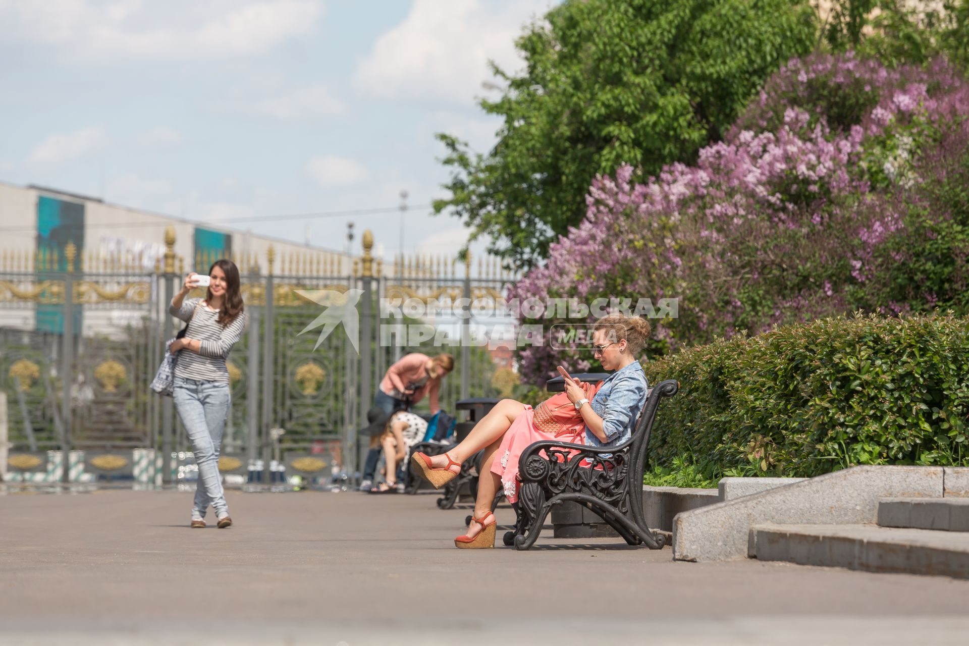 Москва. Девушка делает селфи  в парке Горького.