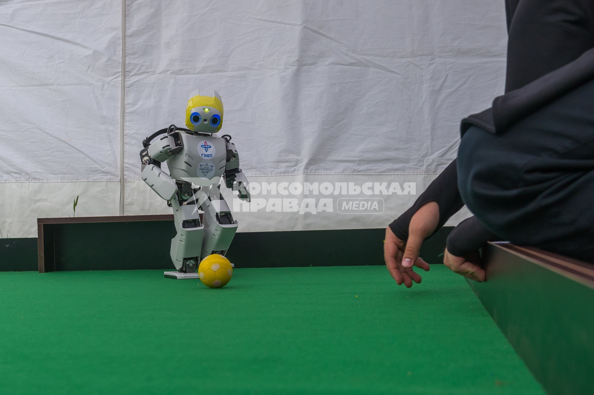 Санкт-Петербург.  Робот играет в футбол на научно-популярном фестивале Geek Picnic в Пулковском парке.