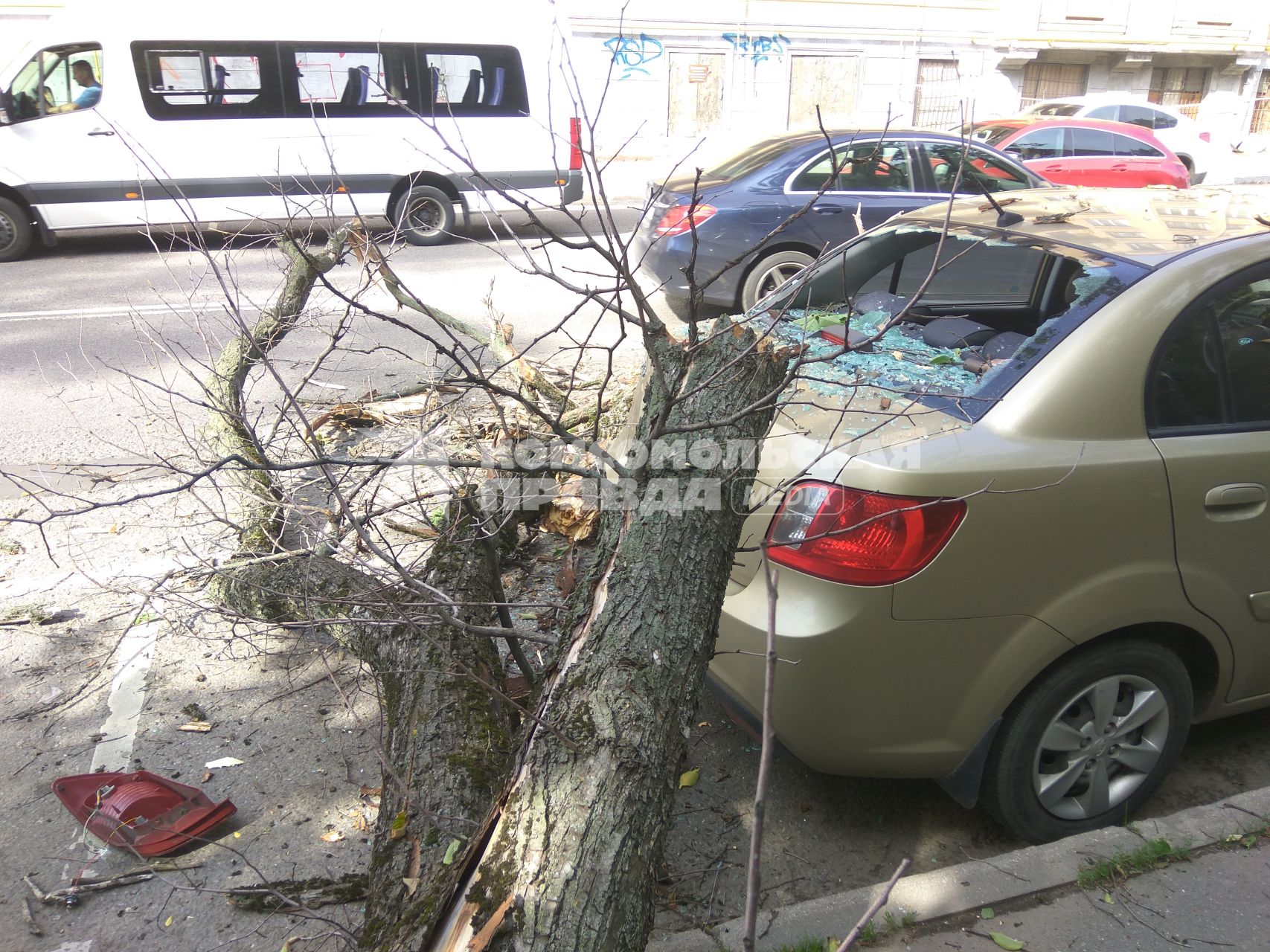 Москва.  Автомобиль, поврежденный упавшим деревом во время урагана на одной из улиц города.