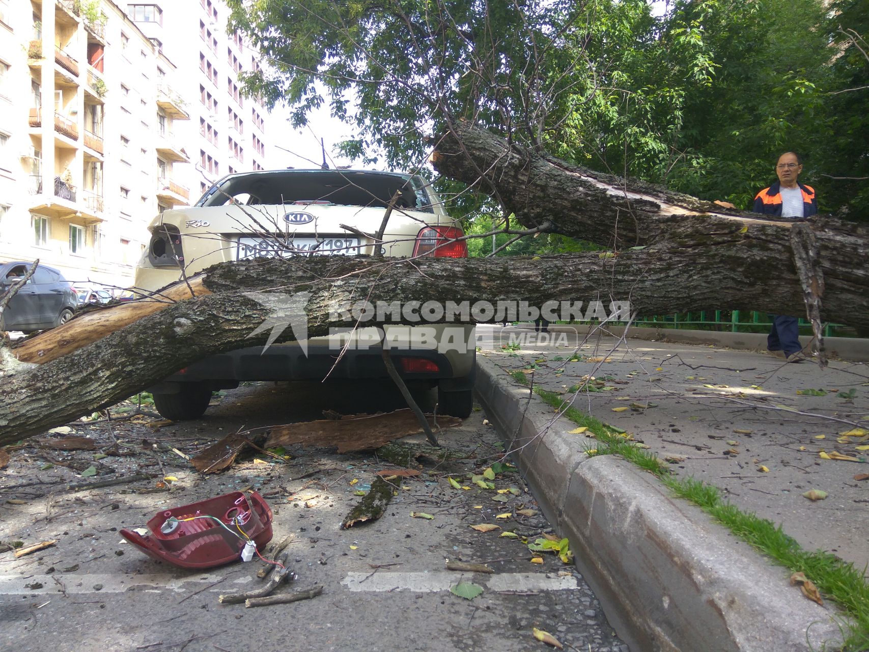 Москва.  Автомобиль, поврежденный упавшим деревом во время урагана на одной из улиц города.