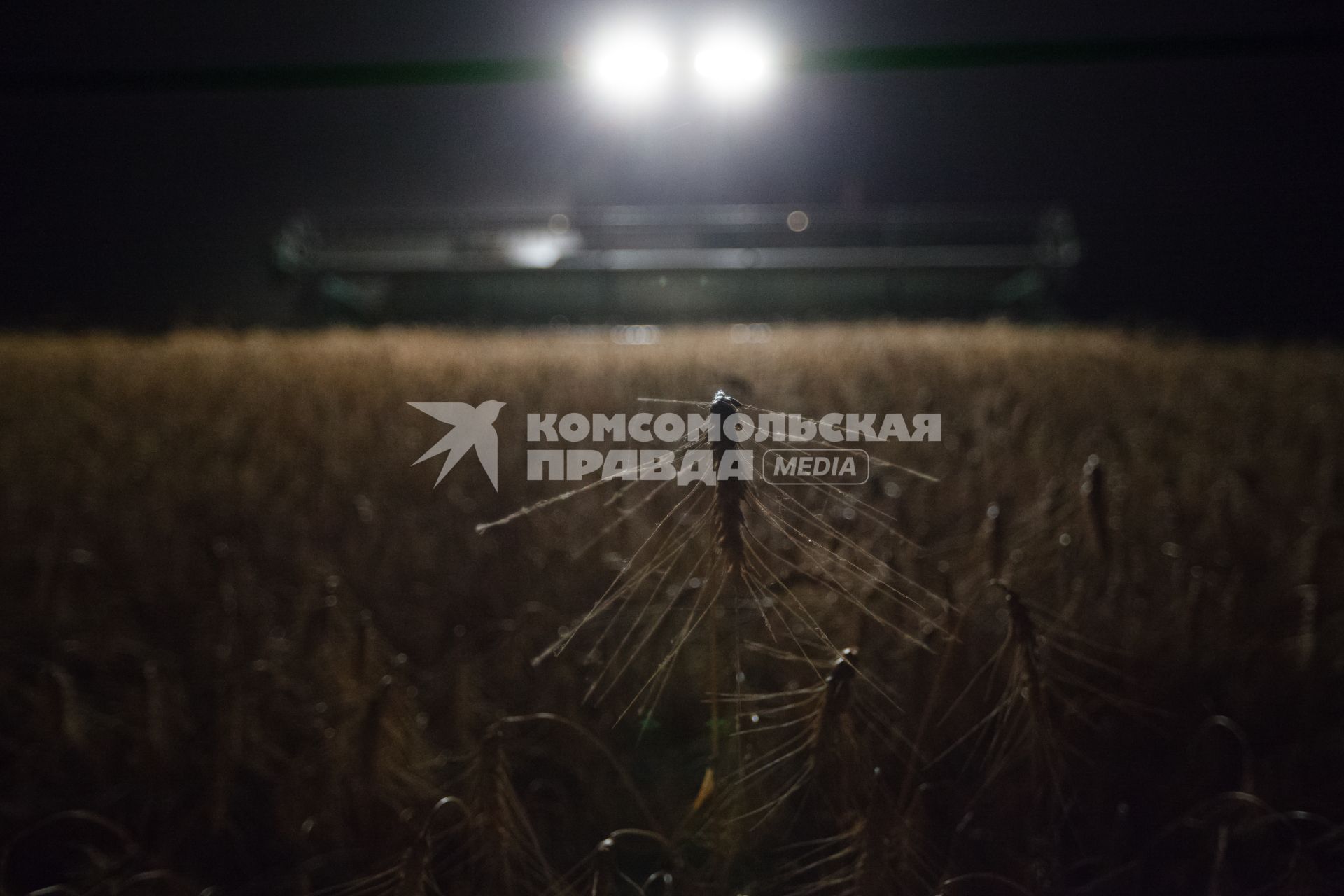Ставропольский край, с. Каново. Ночная уборка пшеницы.