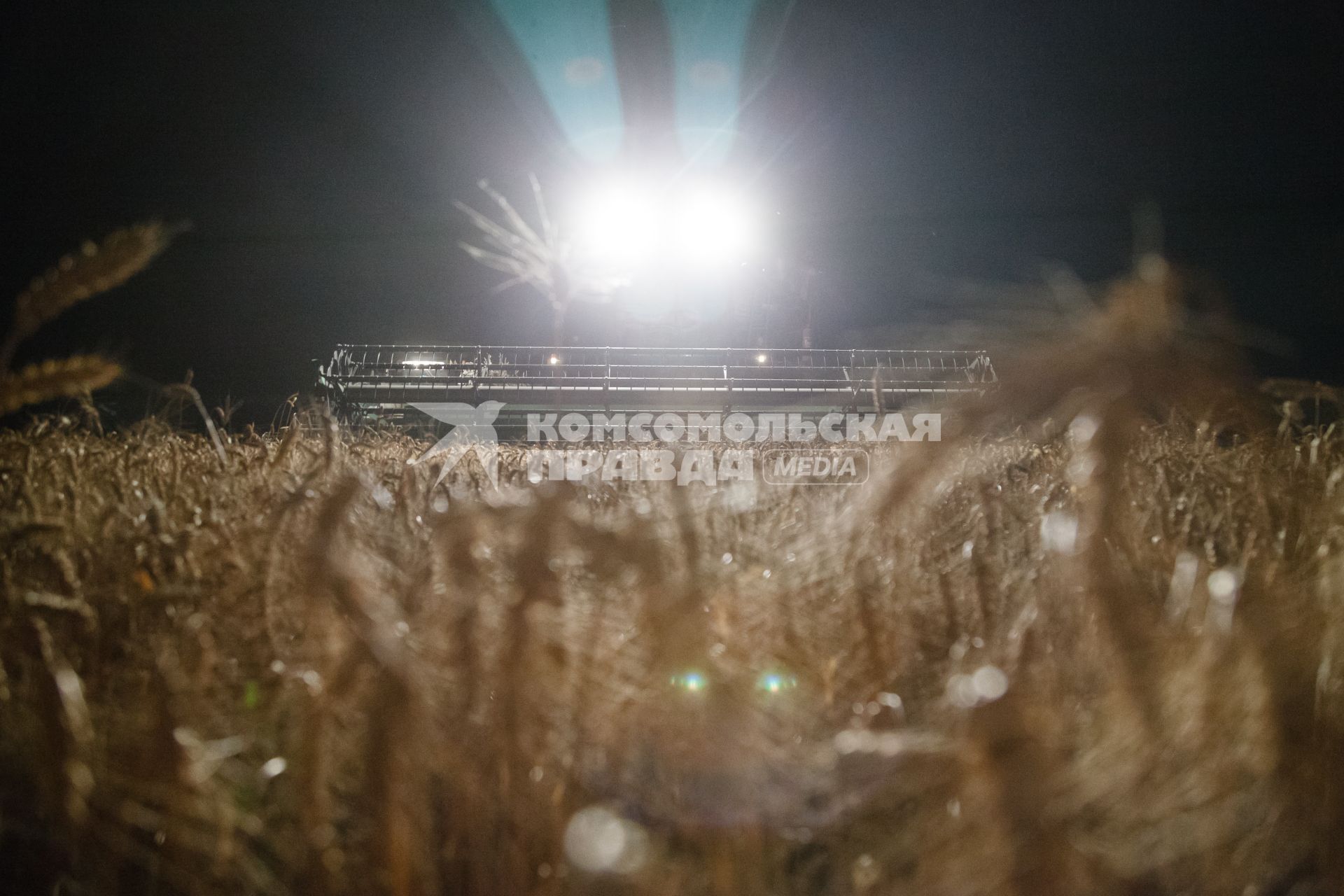 Ставропольский край, с. Каново. Ночная уборка пшеницы.
