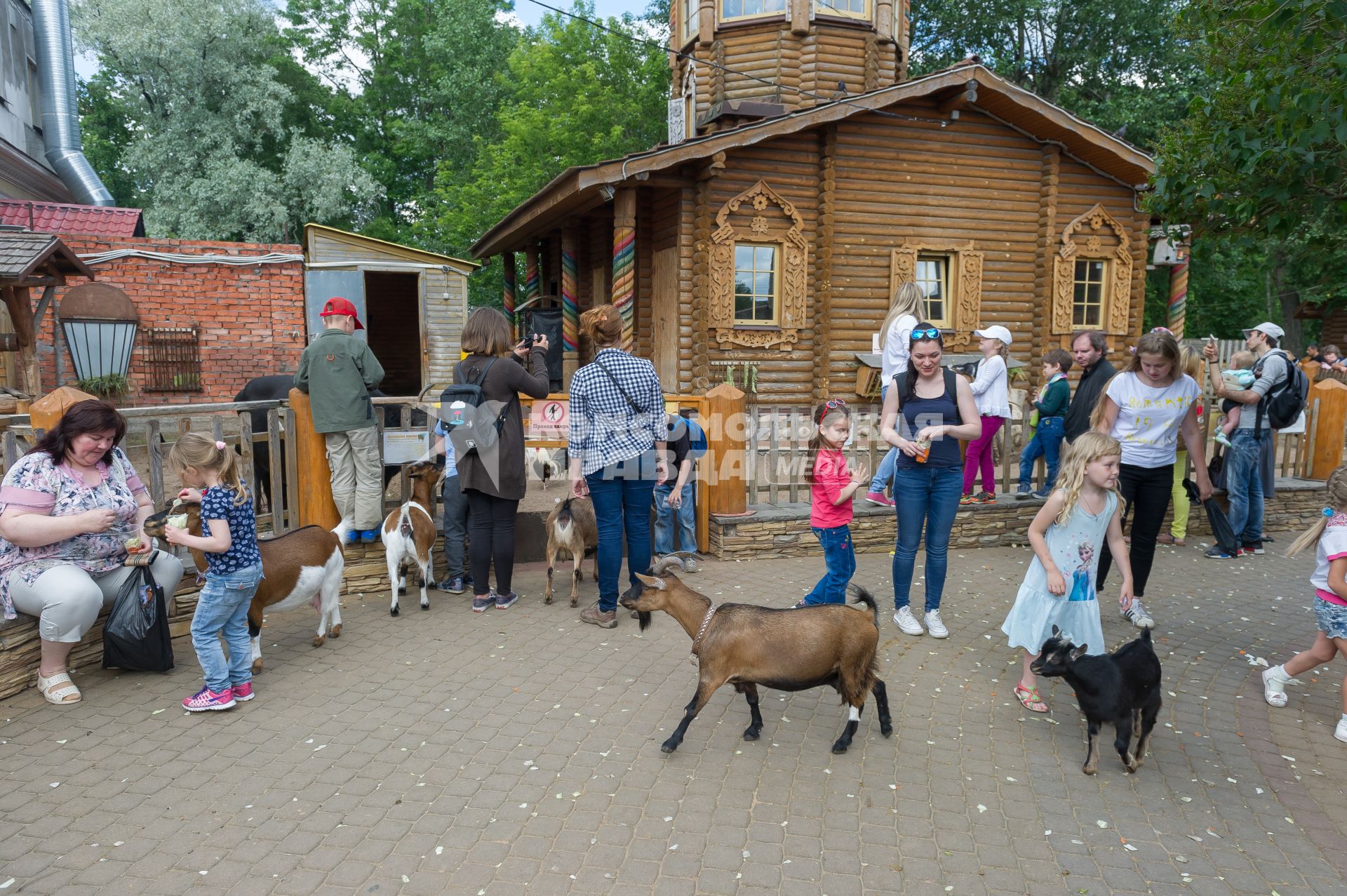 Санкт-Петербург. Дети играют с козами  в вольере детского  зоопарка.