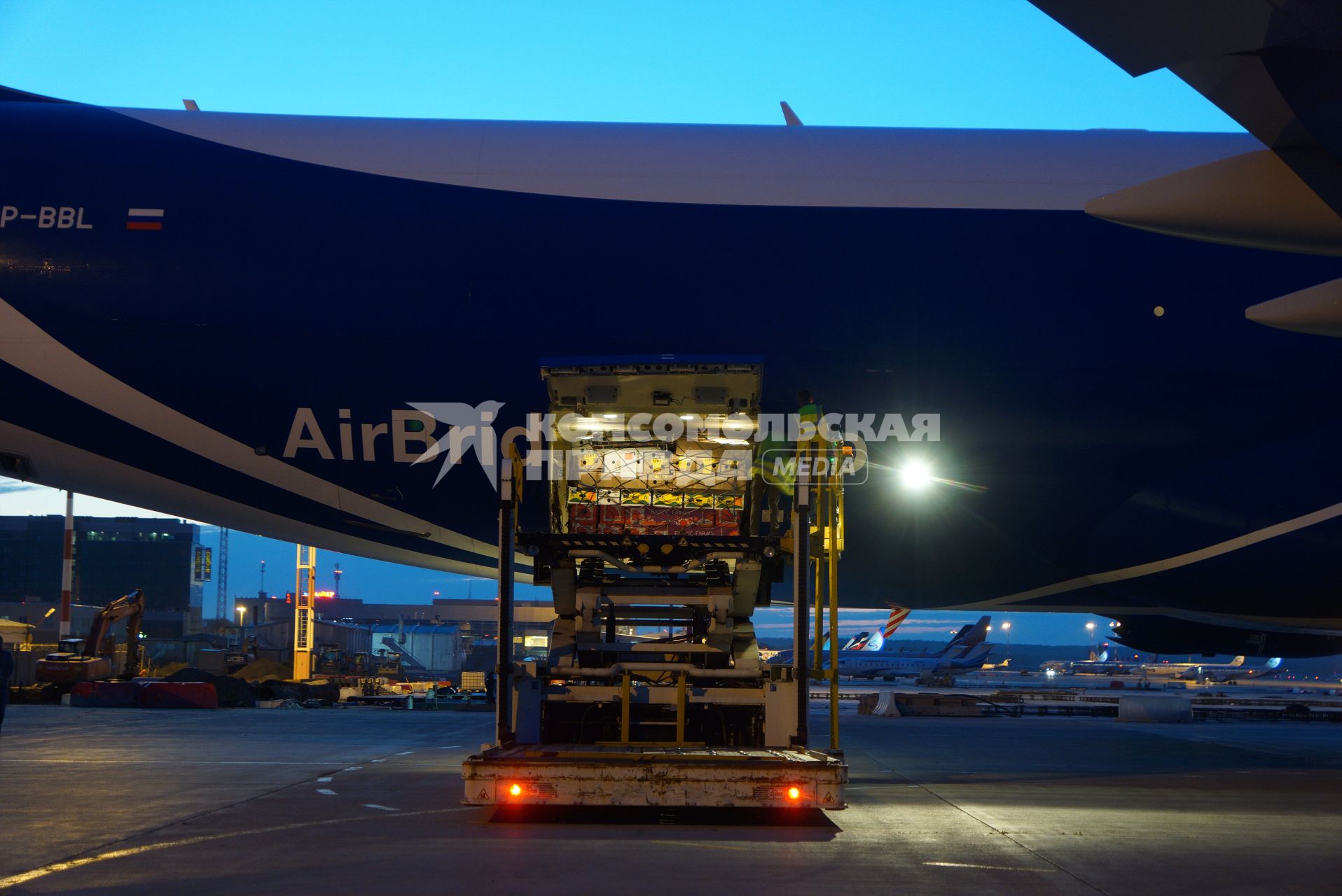 Екатеринбург. Разгрузка самолета грузовой авиакомпании \'AirBridgeCargo\' с сборной партией цветов весом 40 тонн к 1 сентября. Аэропорт \'Кольцово\'