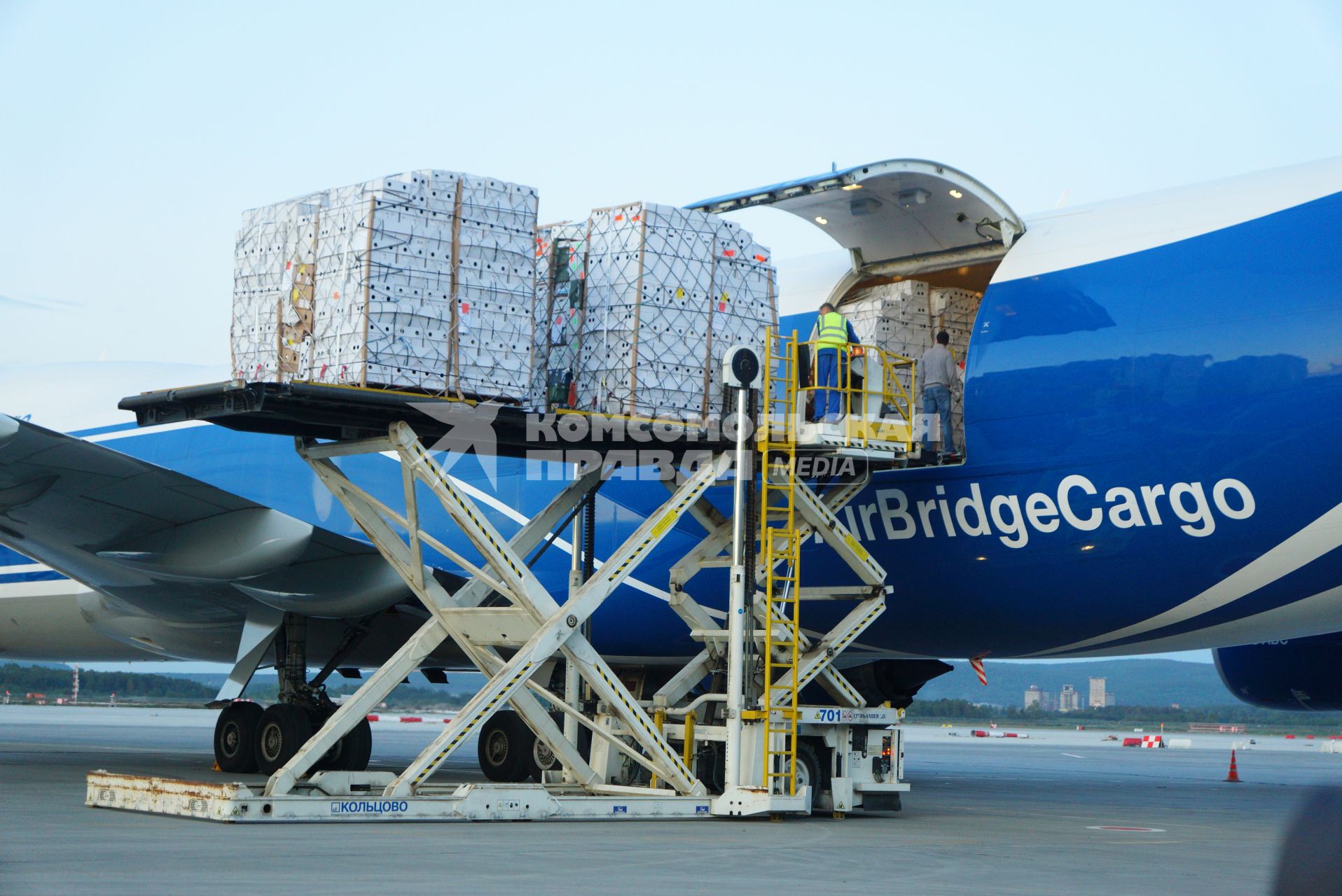 Екатеринбург. Разгрузка самолета грузовой авиакомпании \'AirBridgeCargo\' с сборной партией цветов весом 40 тонн к 1 сентября. Аэропорт \'Кольцово\'